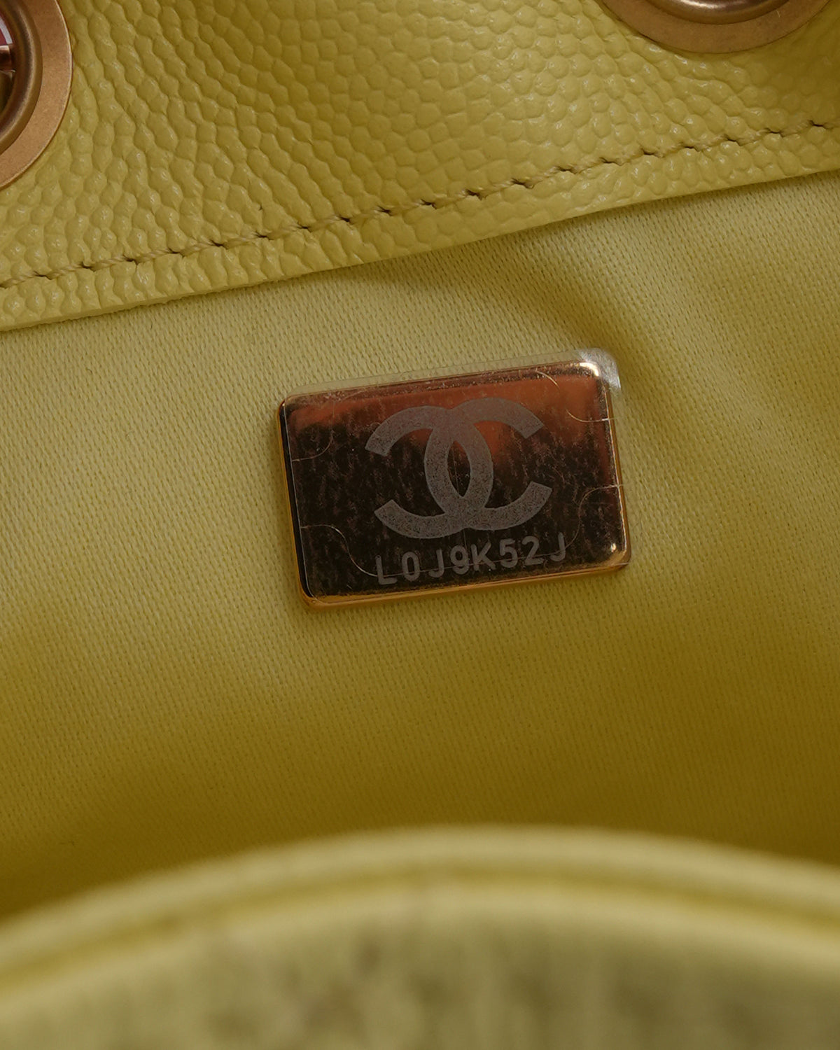 Caviar Leather Quilted Mini 25 Hobo Bag