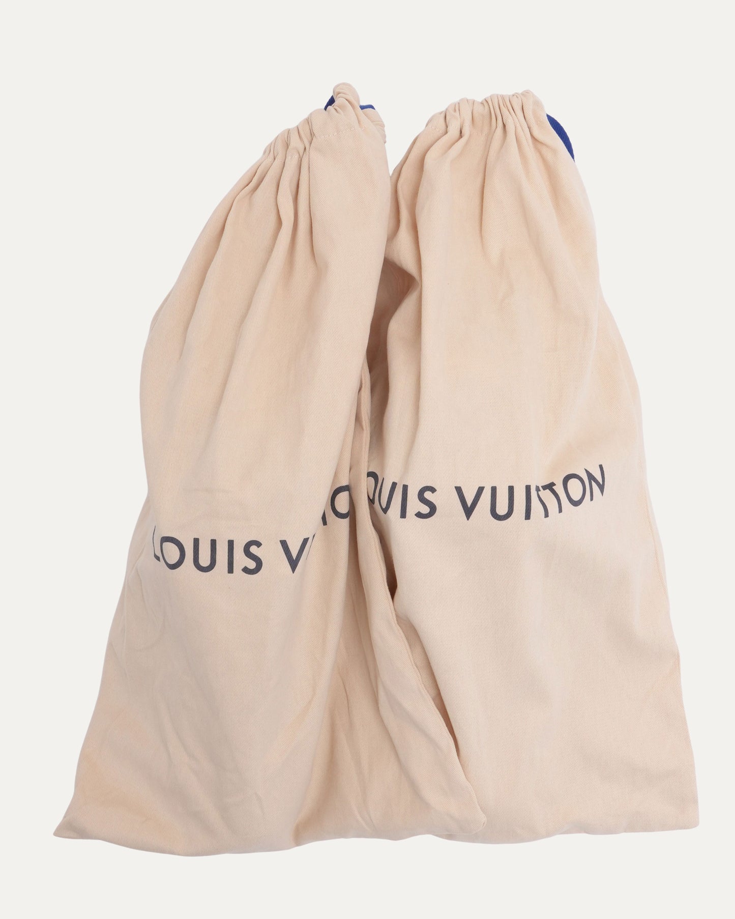 Logo LV Trainer