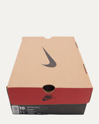 Nike Syracuse Be True to Your School Dunks