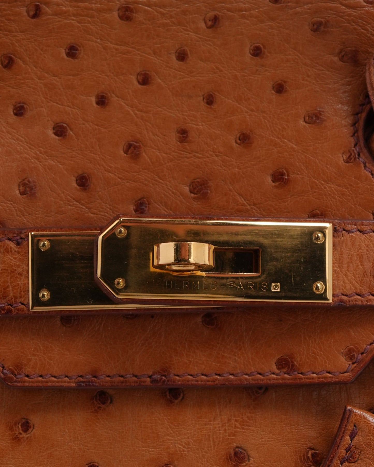 Ostrich Birkin 30