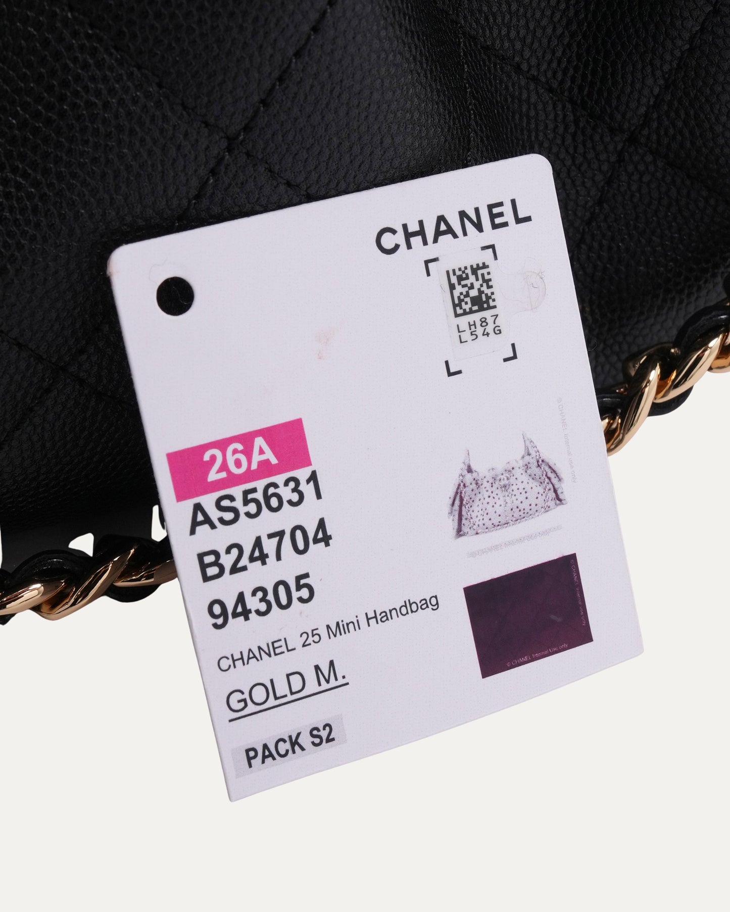 Caviar Quilted Mini 25 Hobo Bag