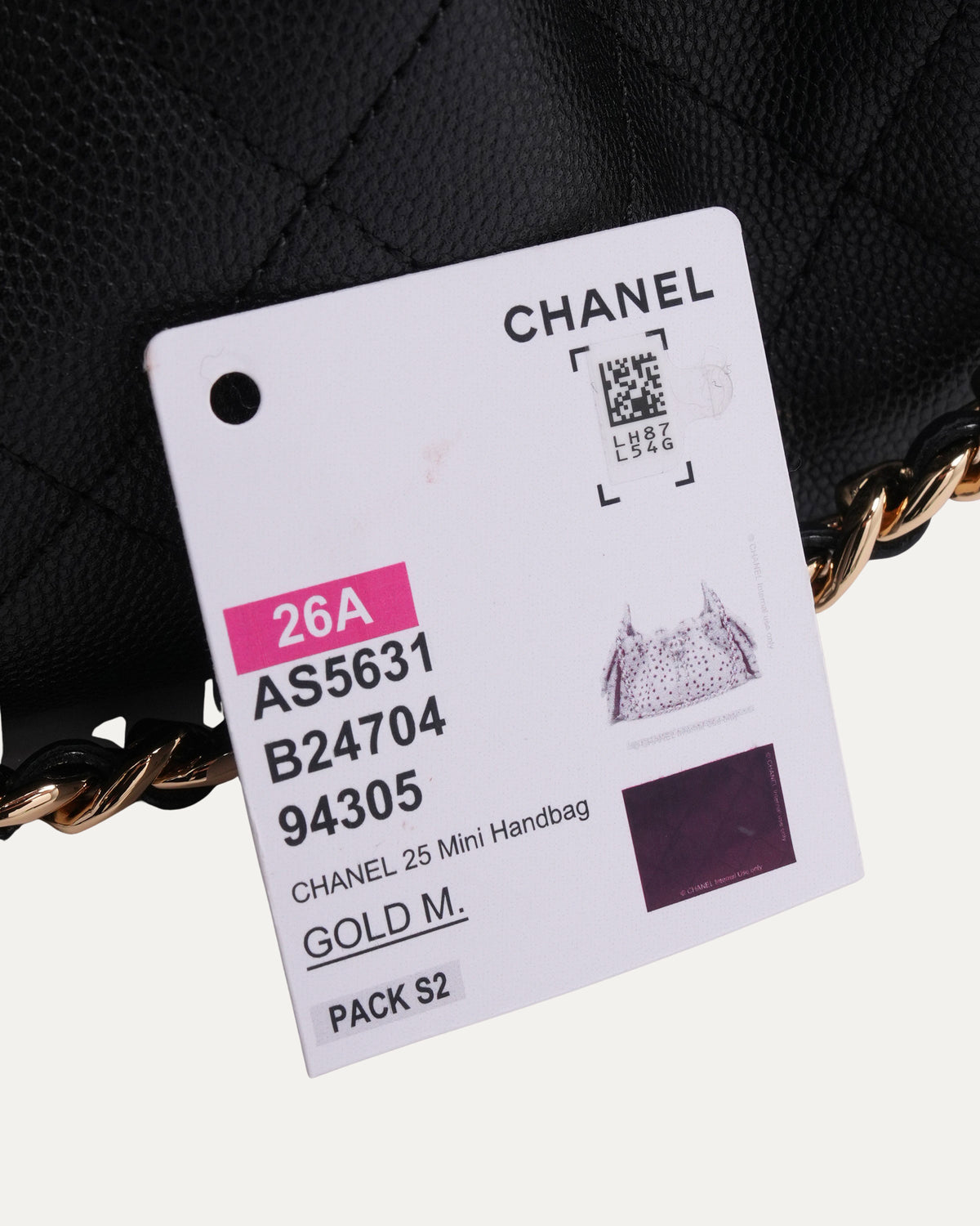 Caviar Quilted Mini 25 Hobo Bag