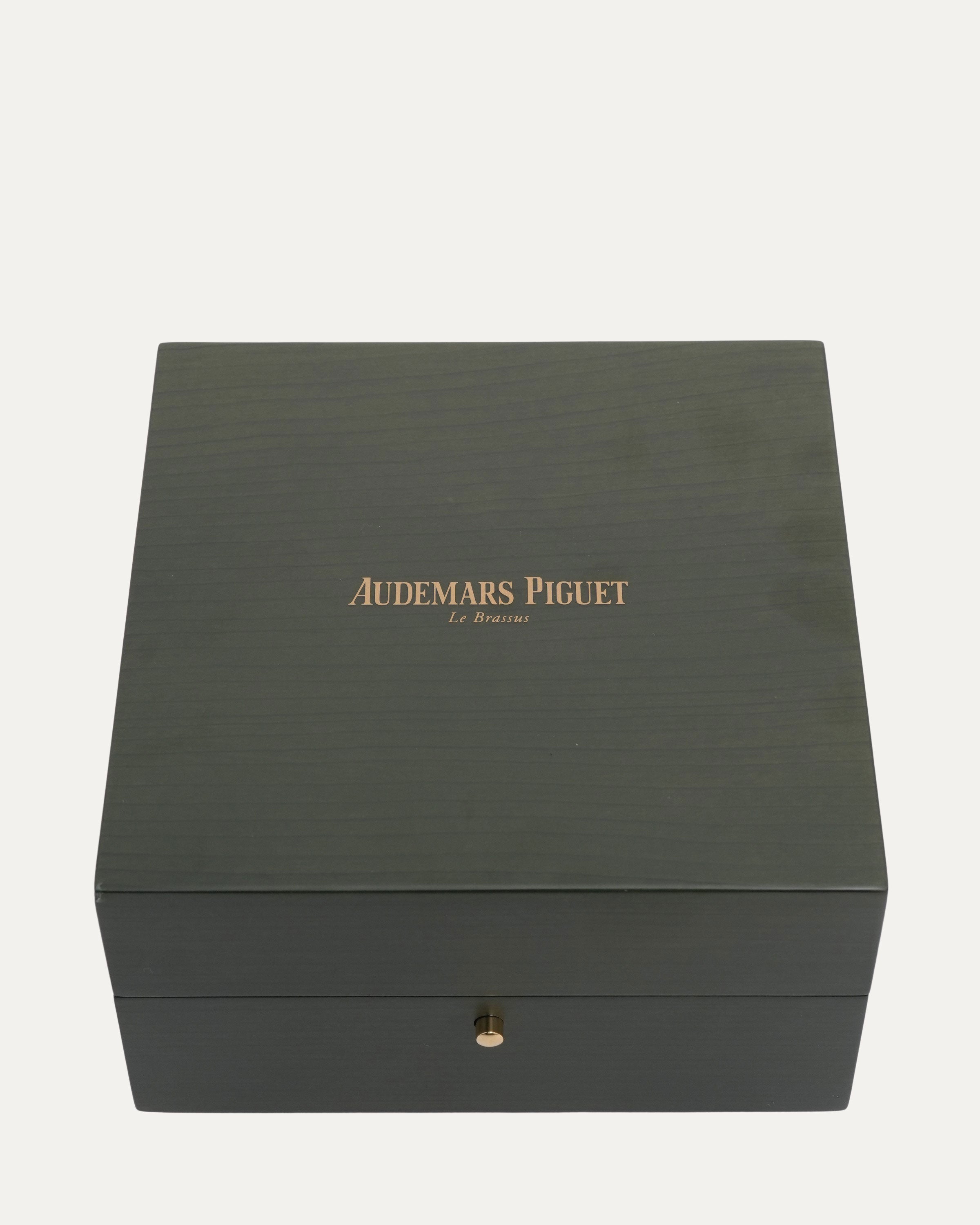 Audemars Piguet Frosted Mini Royal Oak – Justin Reed