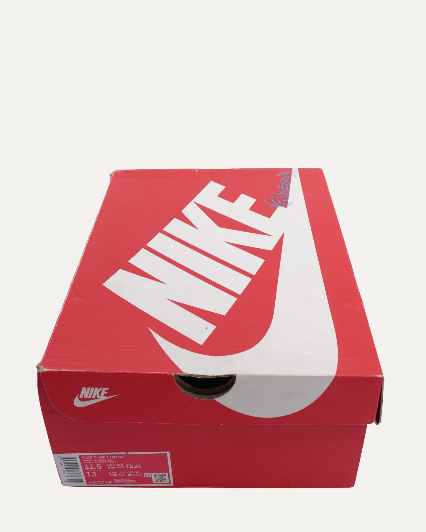 Painted Nike Dunk Low Sneakers
