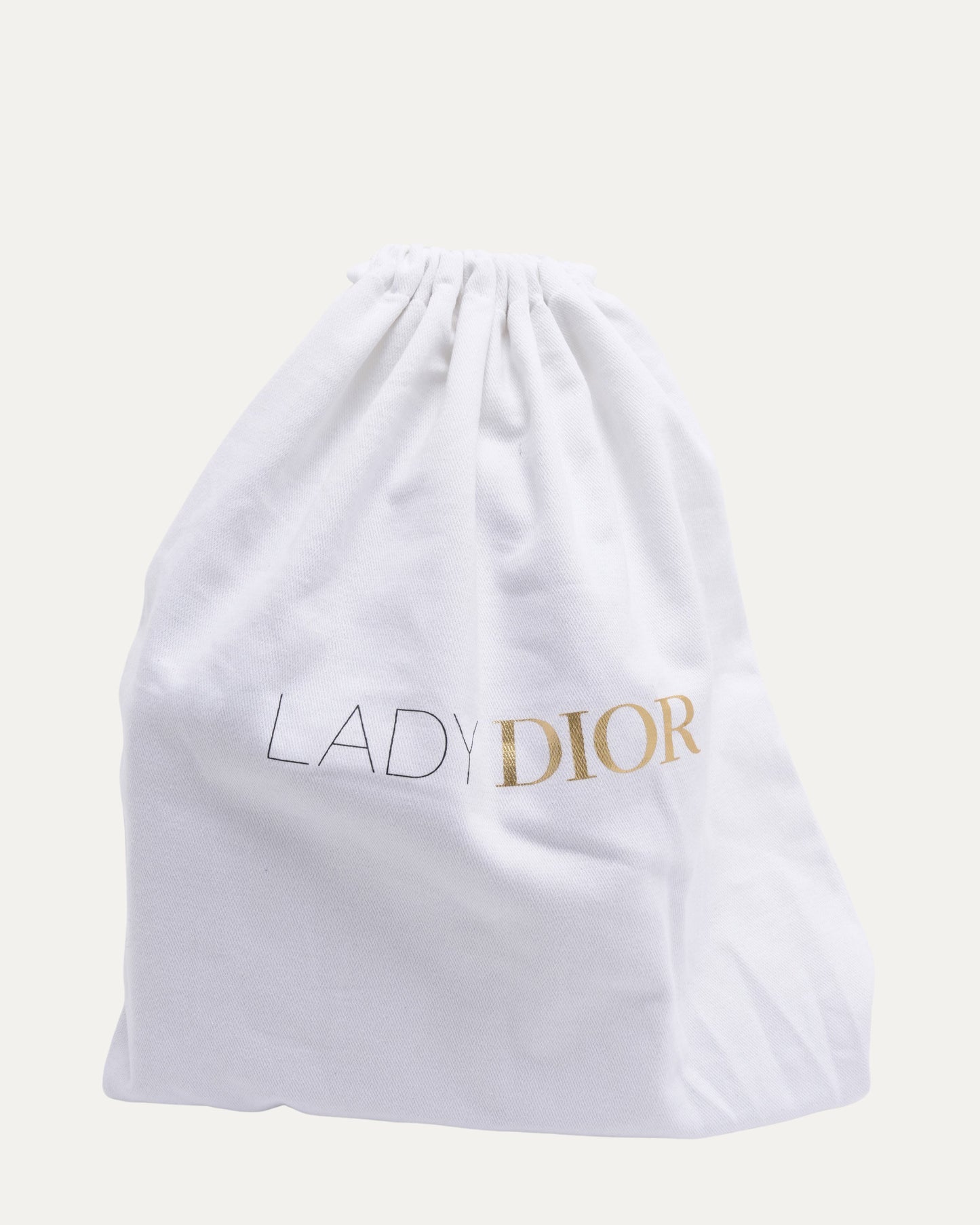 Lady Dior and I Bag