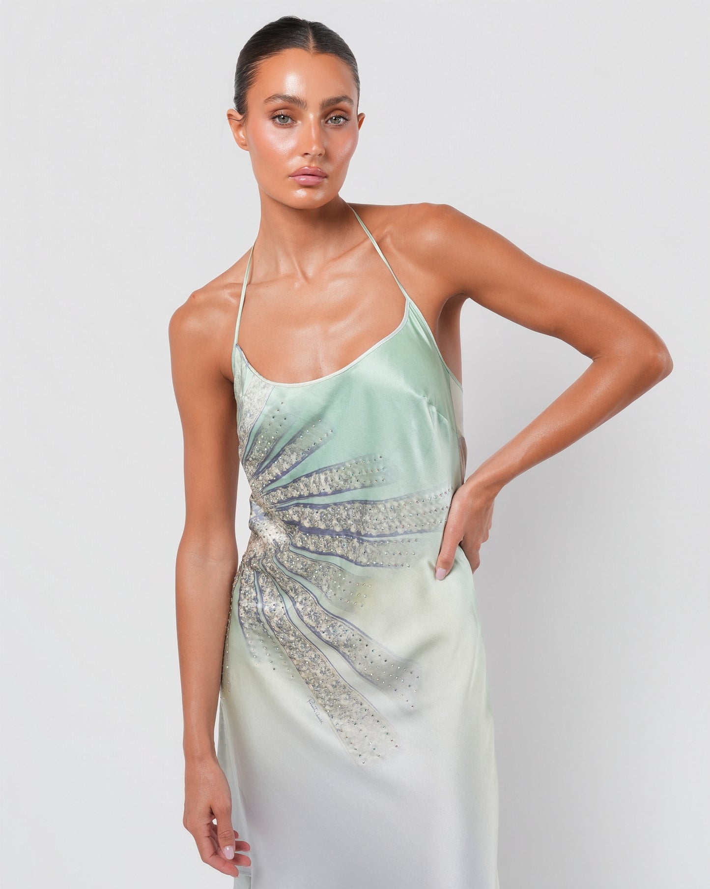 SS 2000 Swarovski Crystal Embellished Dress