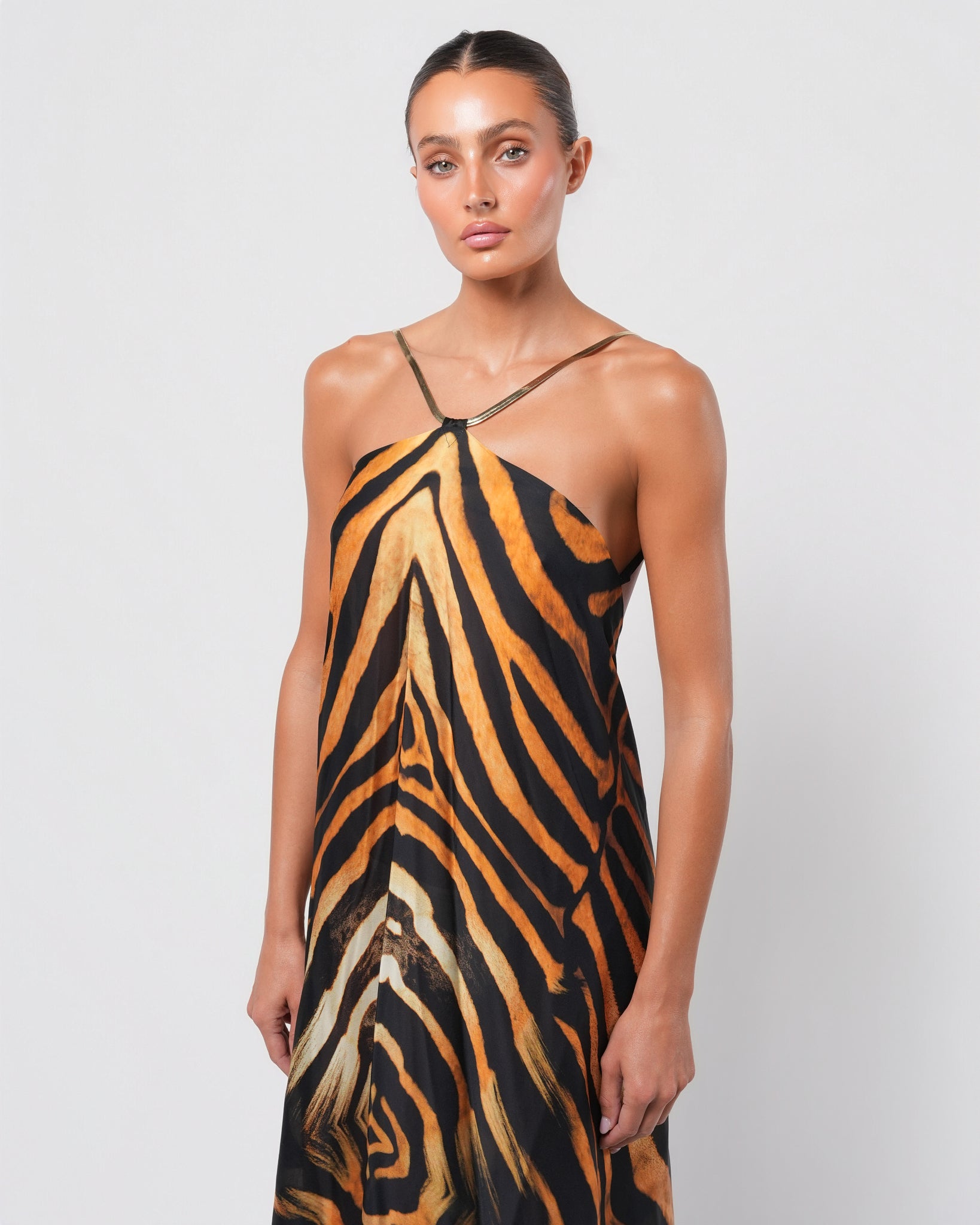 tiger print silk dress Tiger-Print Silk Maxi Dress in Brown for Women