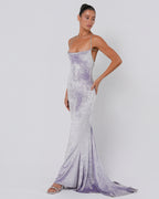 Iridescent Velvet Gown