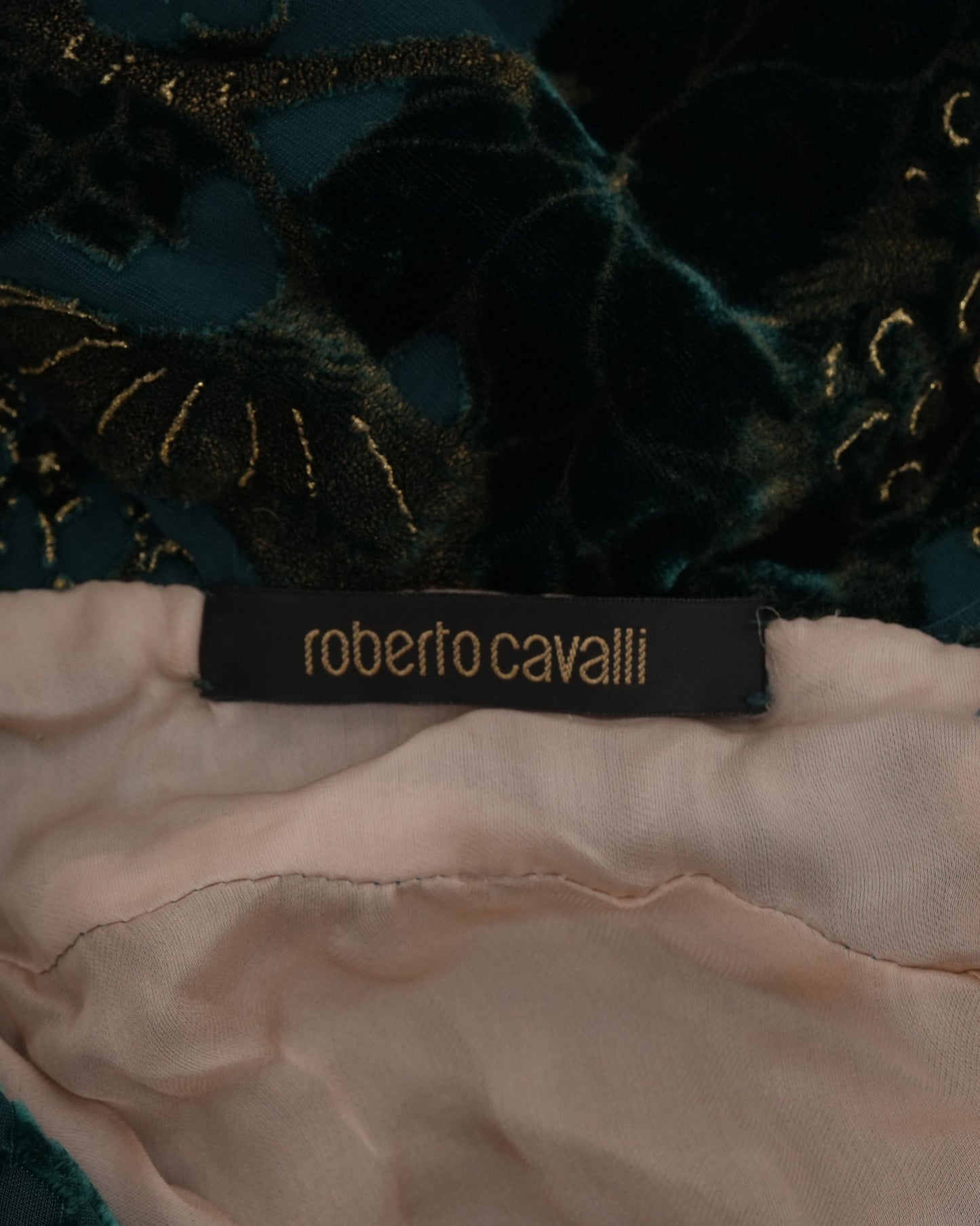 FW 2004 Velvet and Chiffon Gown