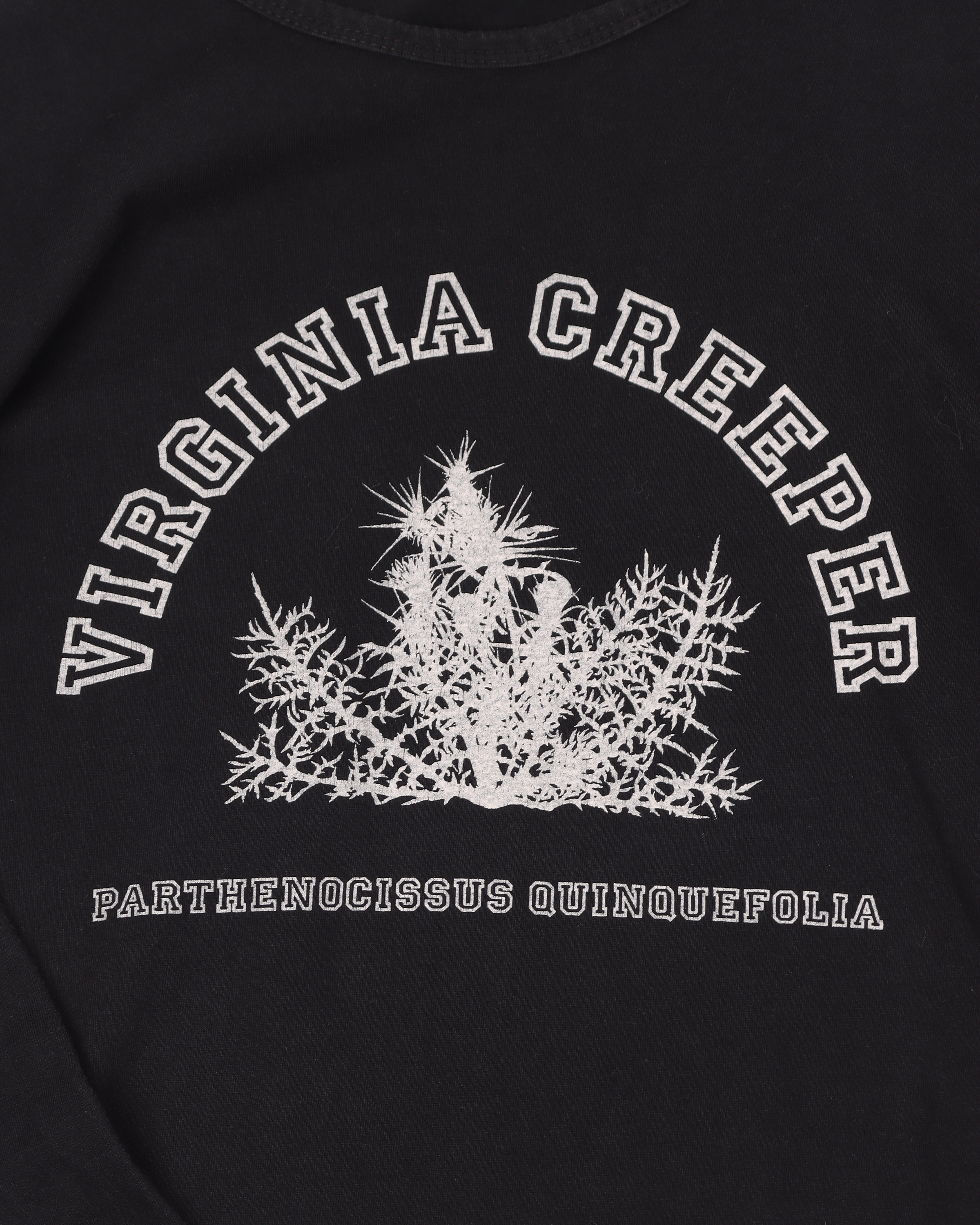 AW02 Virginia Creeper L/S T-Shirt