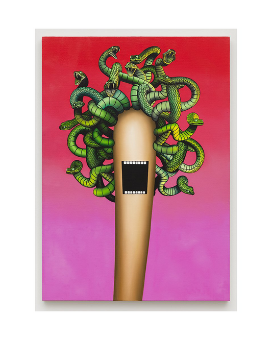 Medusa Color Screen Print