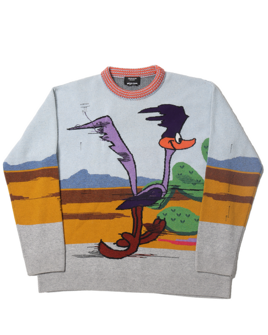 Distressed Road Runner Knit Sweater