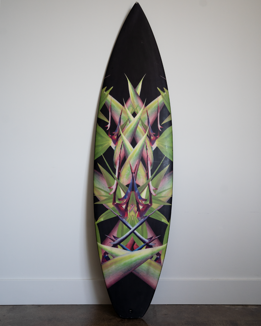 Birds of Paradise Surfboard by Riccardo Tisci, 2012