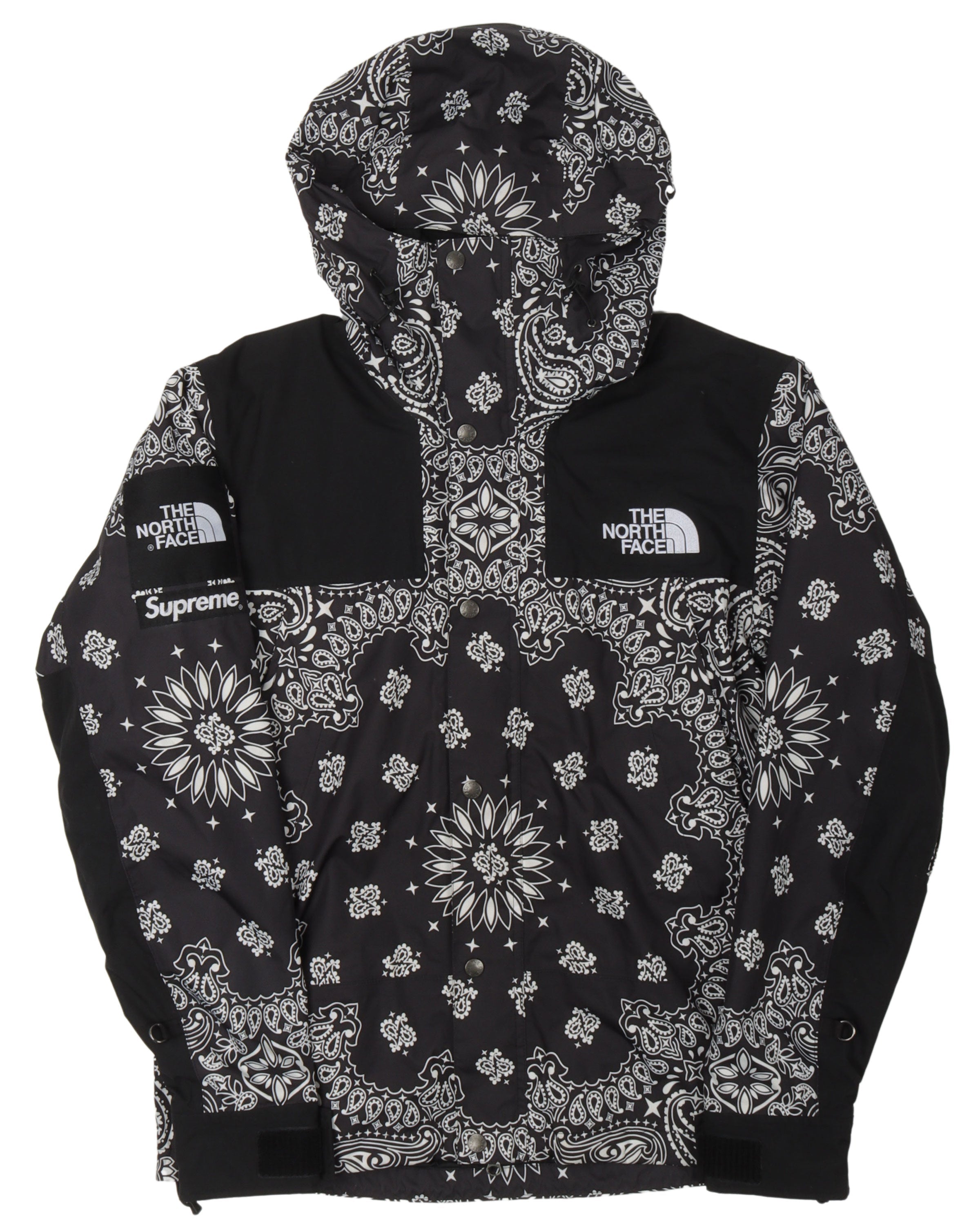 FW14 The North Face Paisley Mountain Parka