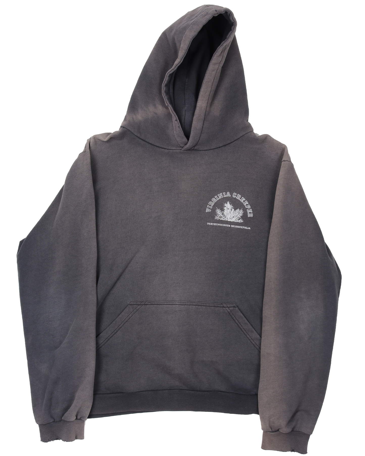 Raf Simons Virginia Creeper Hoodie – Justin Reed Raf Simons Virginia Creeper Hoodie – Justin Reed