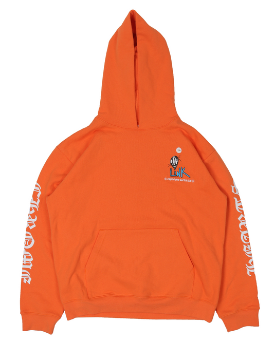 "LINK" Matty Boy Hoodie