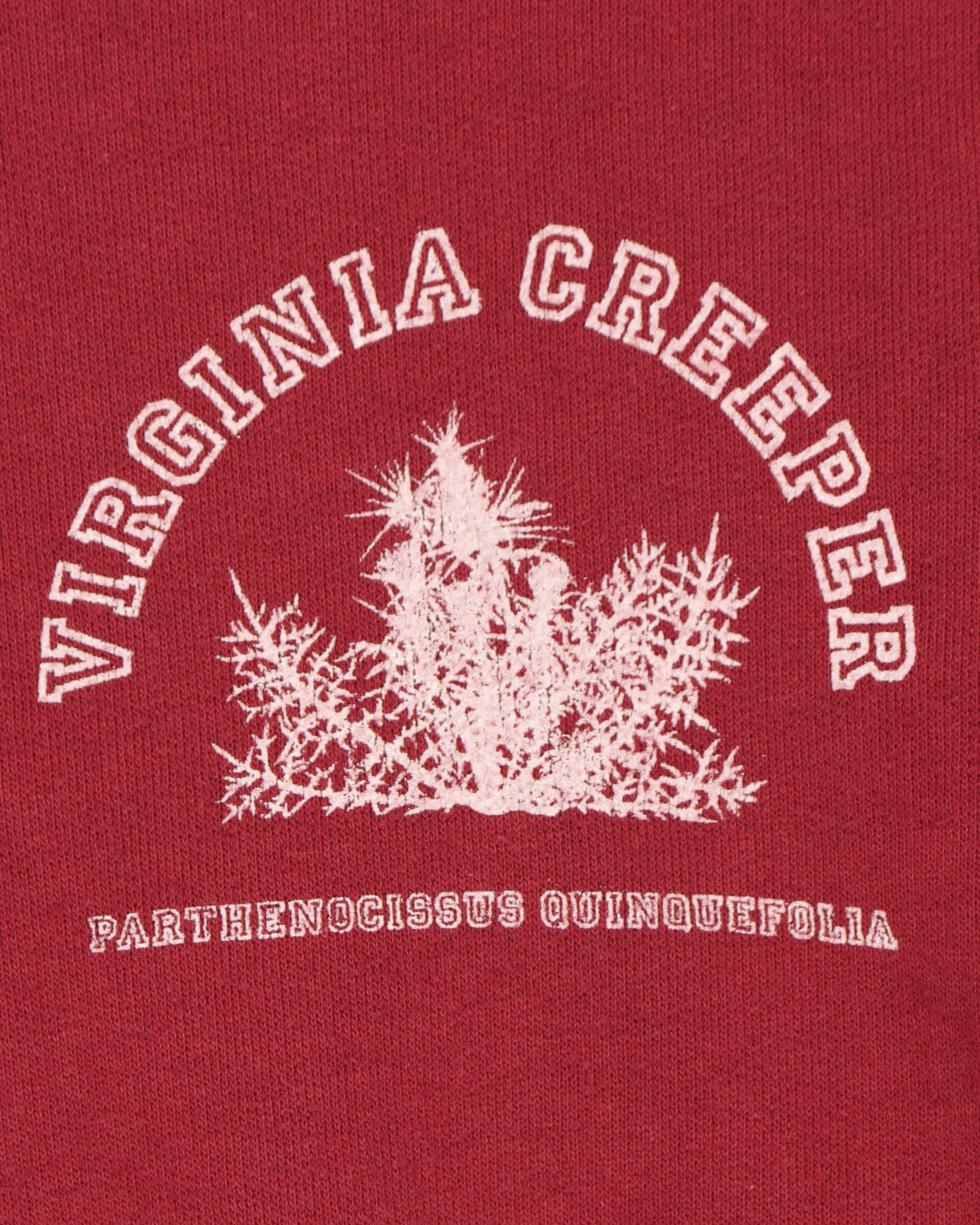 AW02 Virginia Creeper Hoodie