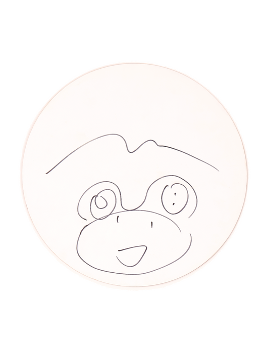 Dinner Plate w/ hand drawing
