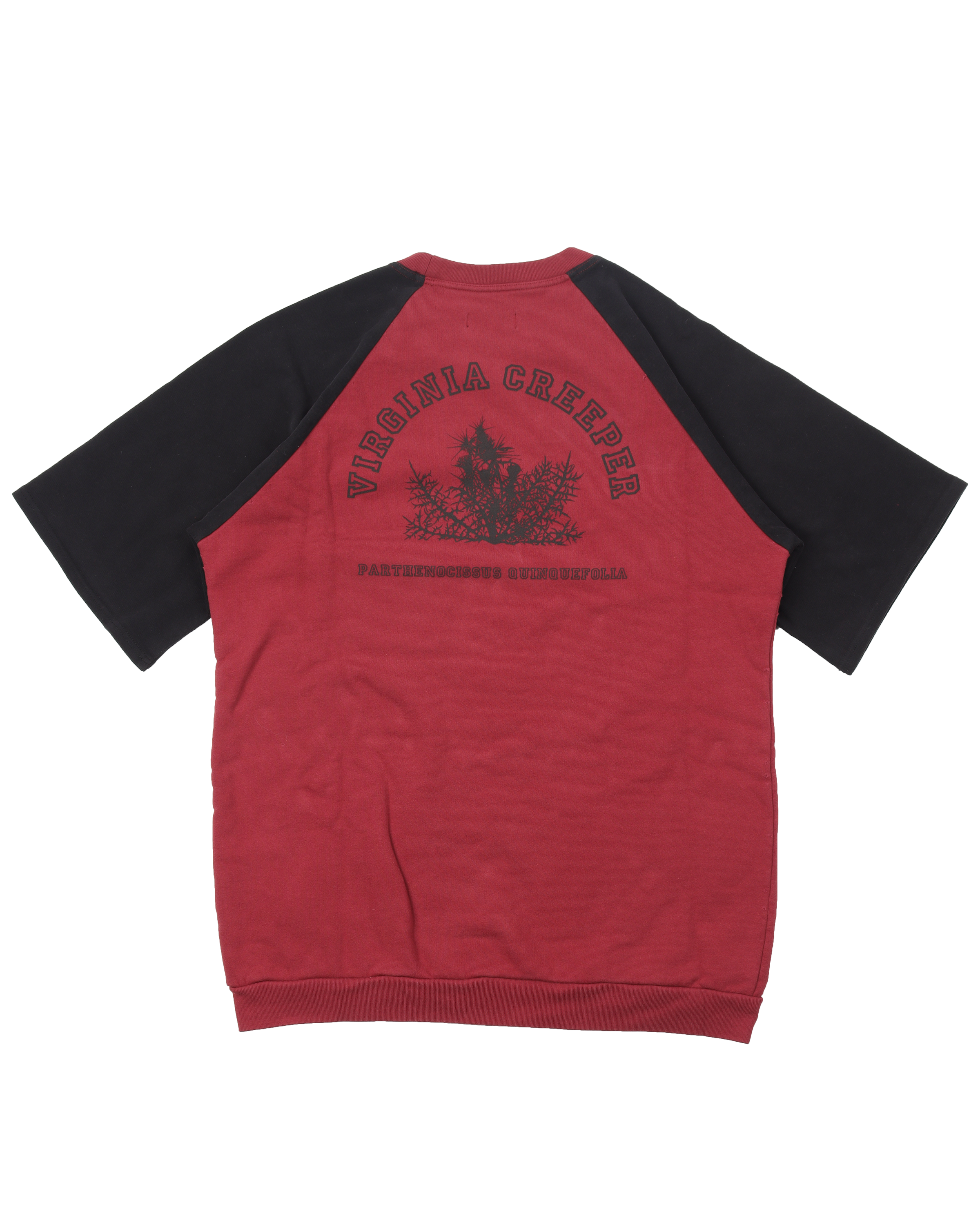 Archive Redux Virginia Creeper Short Sleeve Sweatshirt w/ Tags