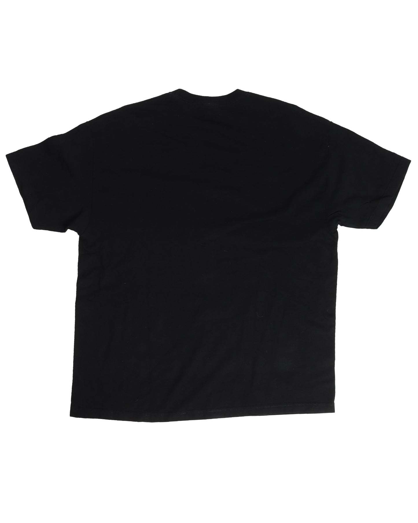 Fat Joe Portrait T-Shirt