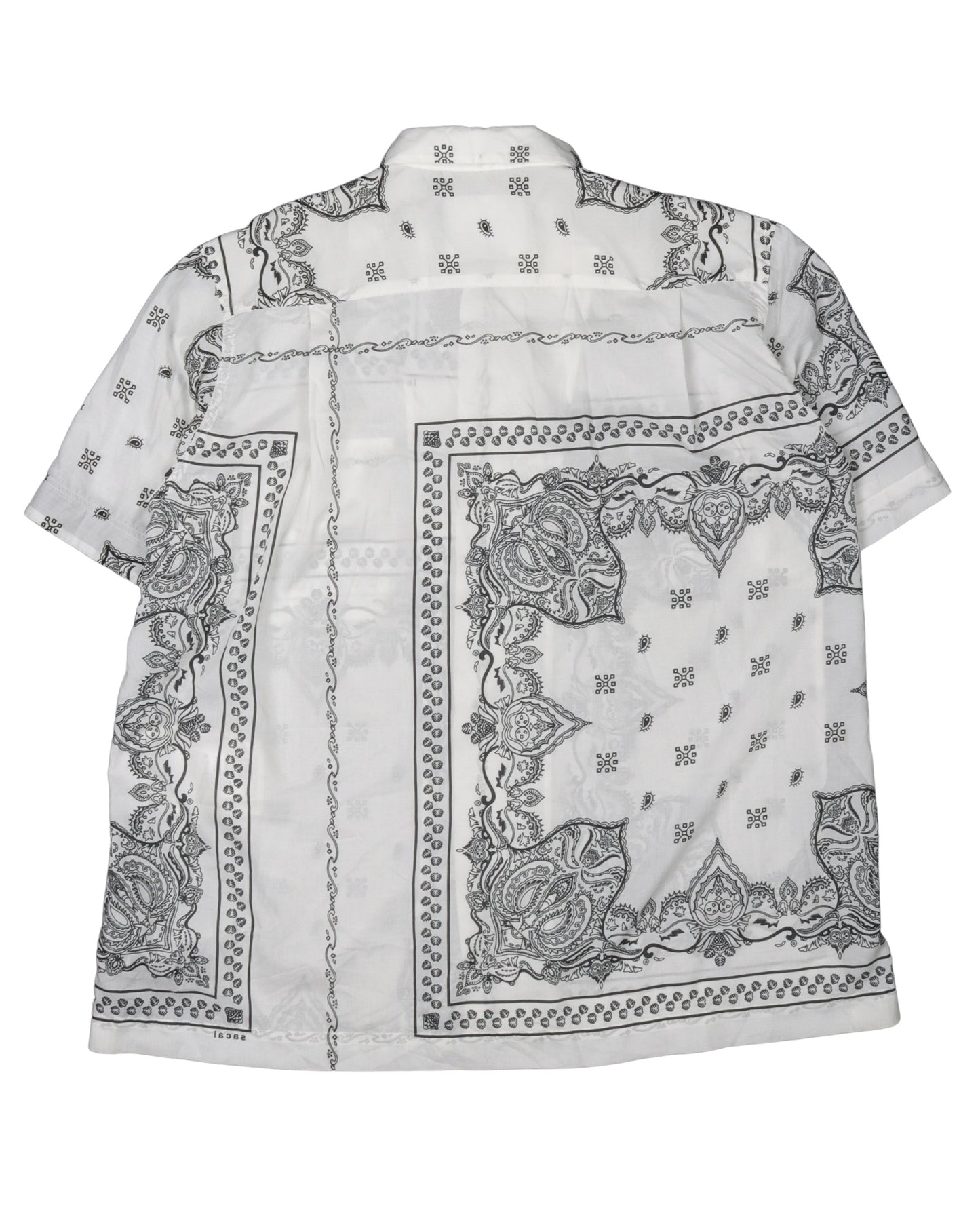 Paisley Shirt