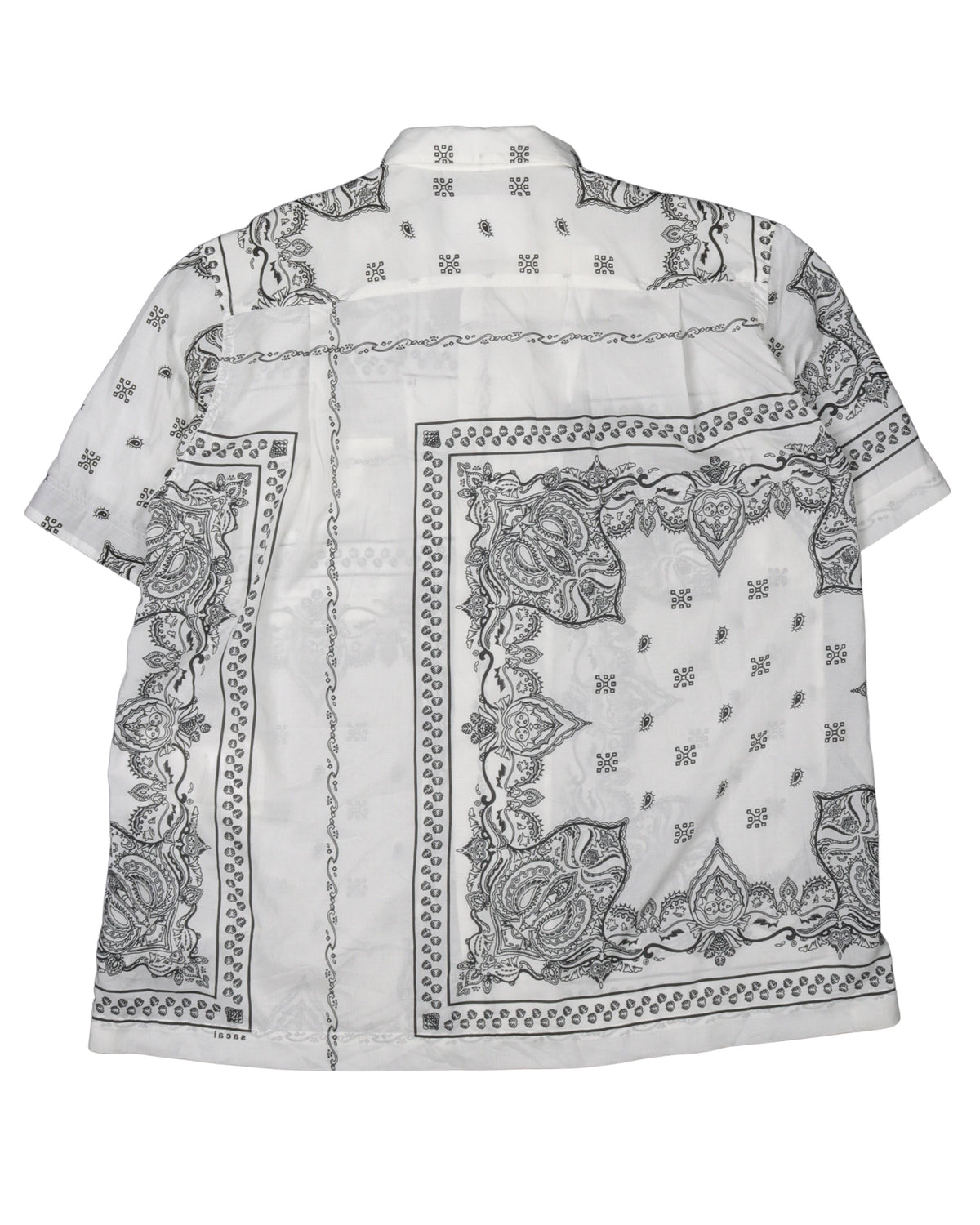 Paisley Shirt