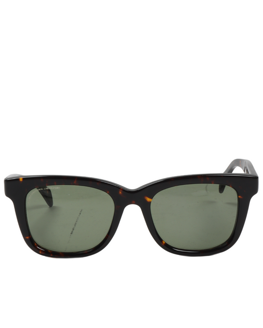 Tortoise Shell Wayfarer Sunglass