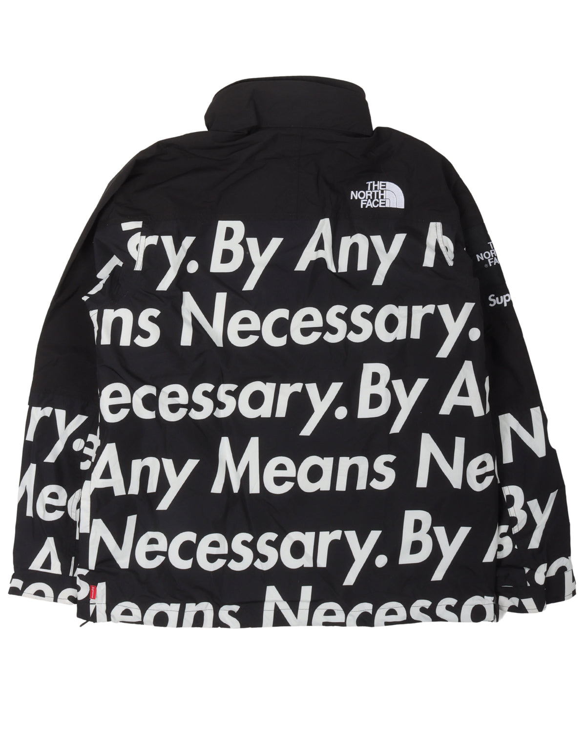 The North Face By Any Means Mountain Jacket