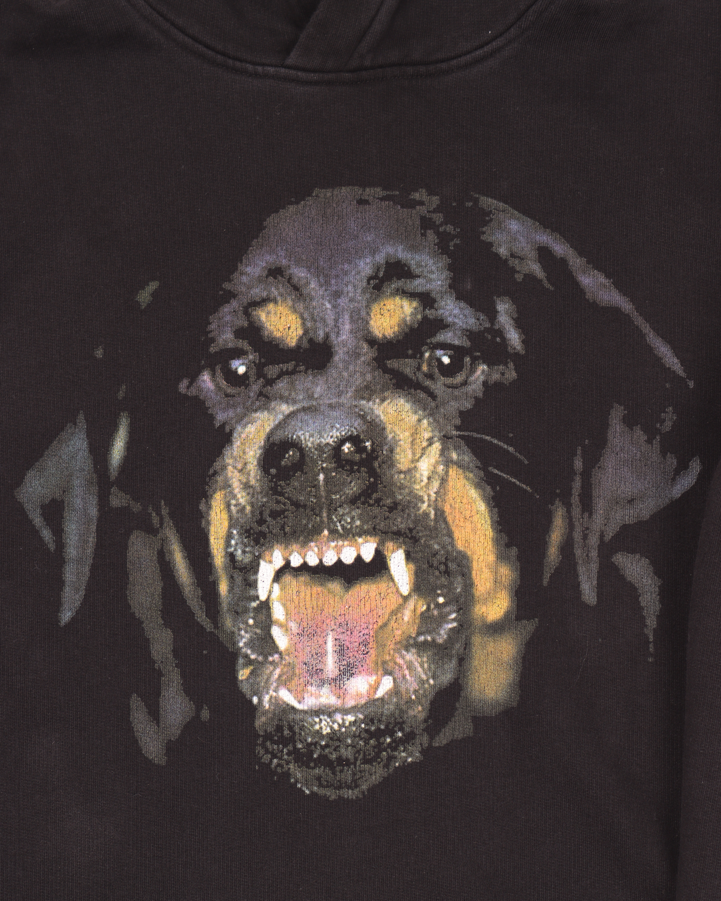 Rottweiler Printed Hoodie