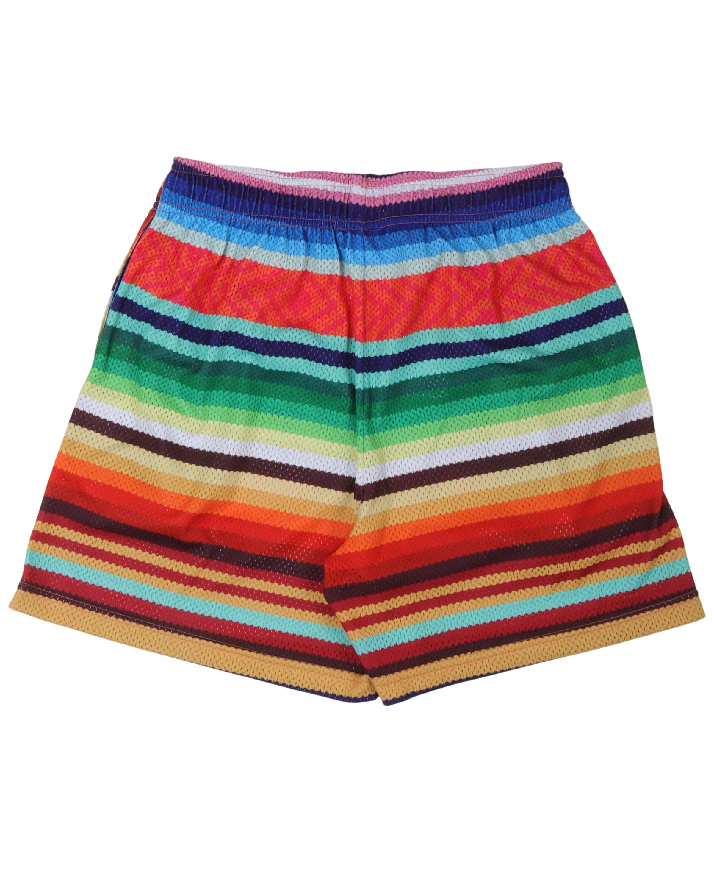 Multicolor Gym Shorts