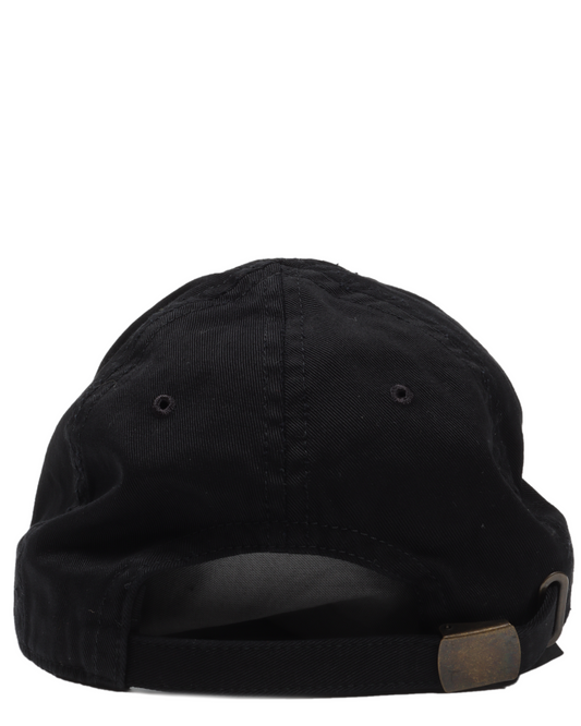 Political Campaign Hat