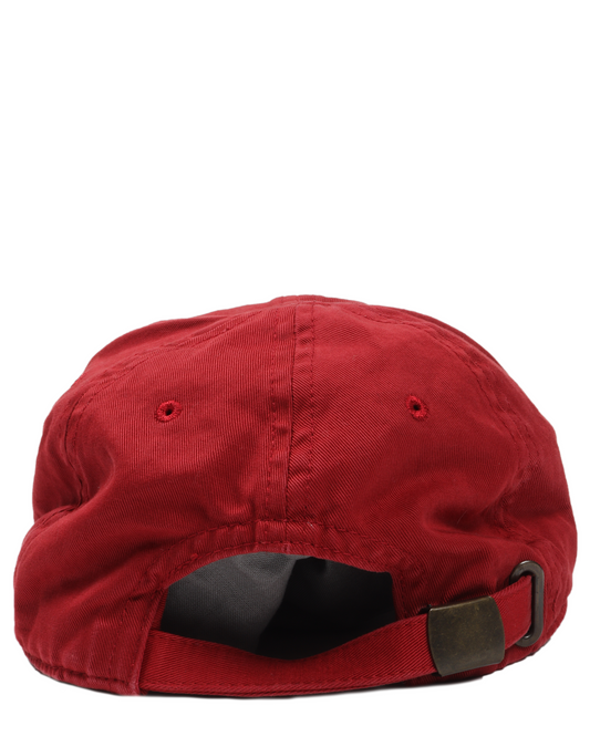 Political Campaign Hat