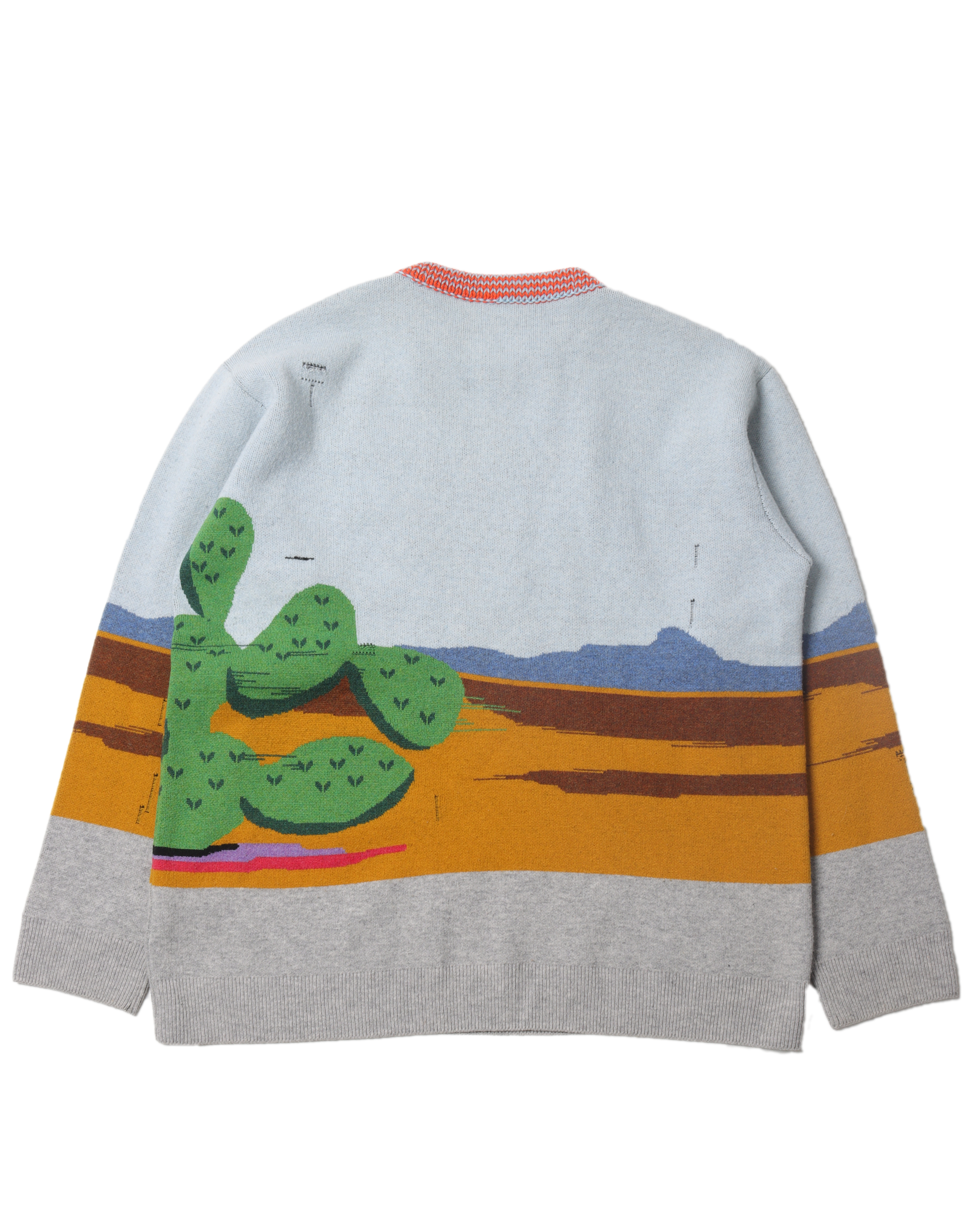 Distressed Road Runner Knit Sweater