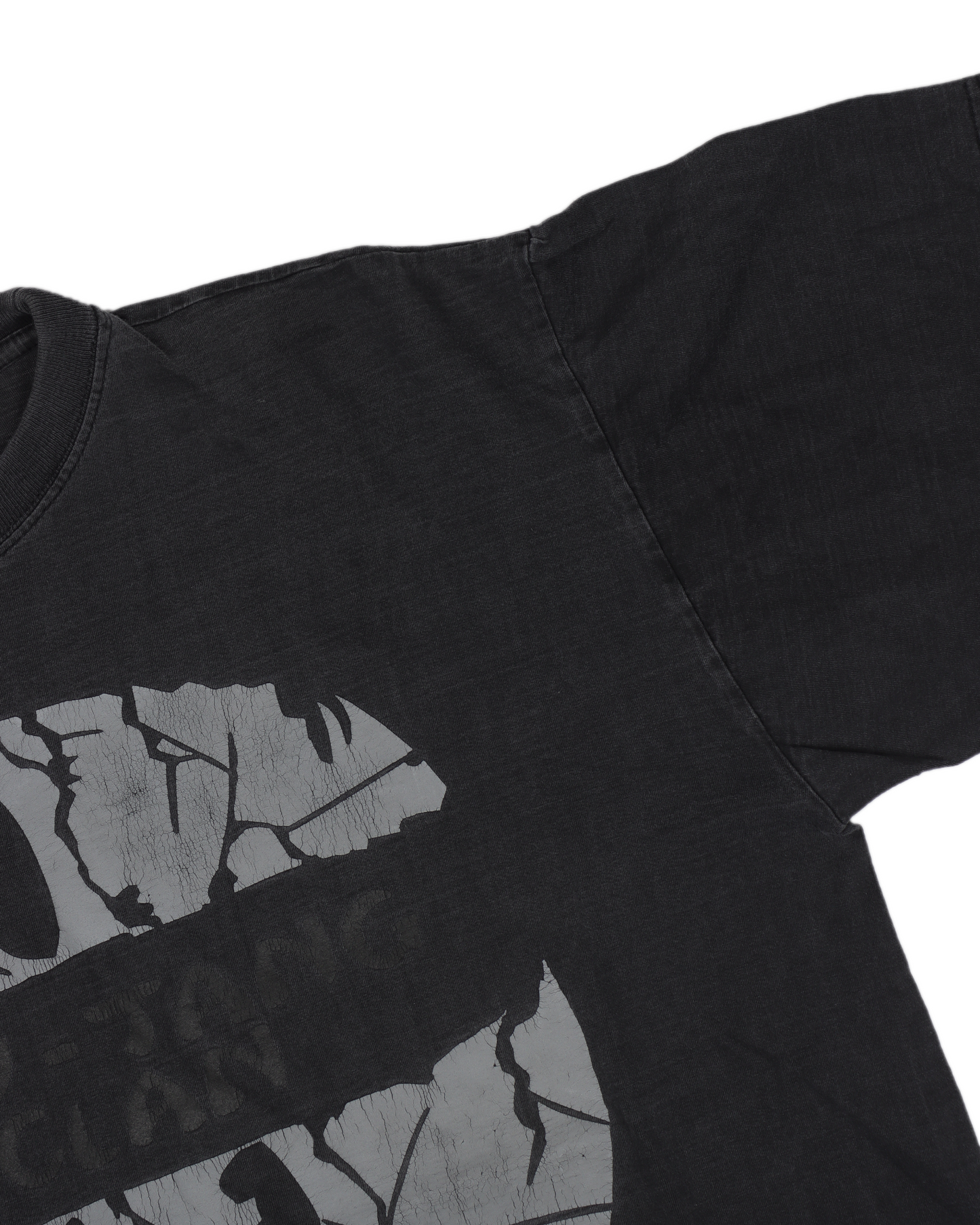 Wu-Tang Clan Faded Euro Logo T-Shirt