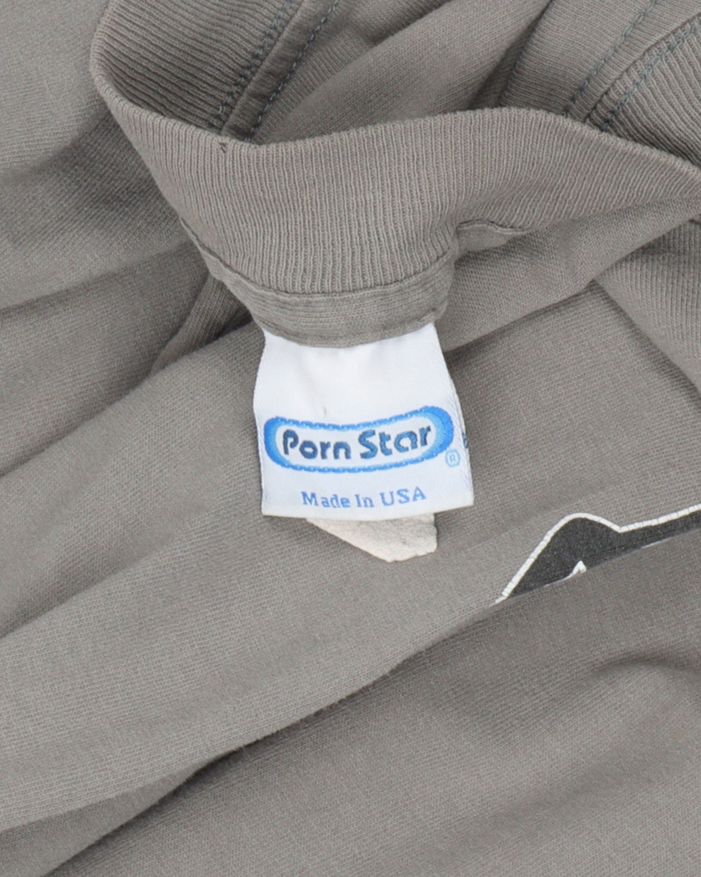 Porn Star Long Sleeve T-Shirt