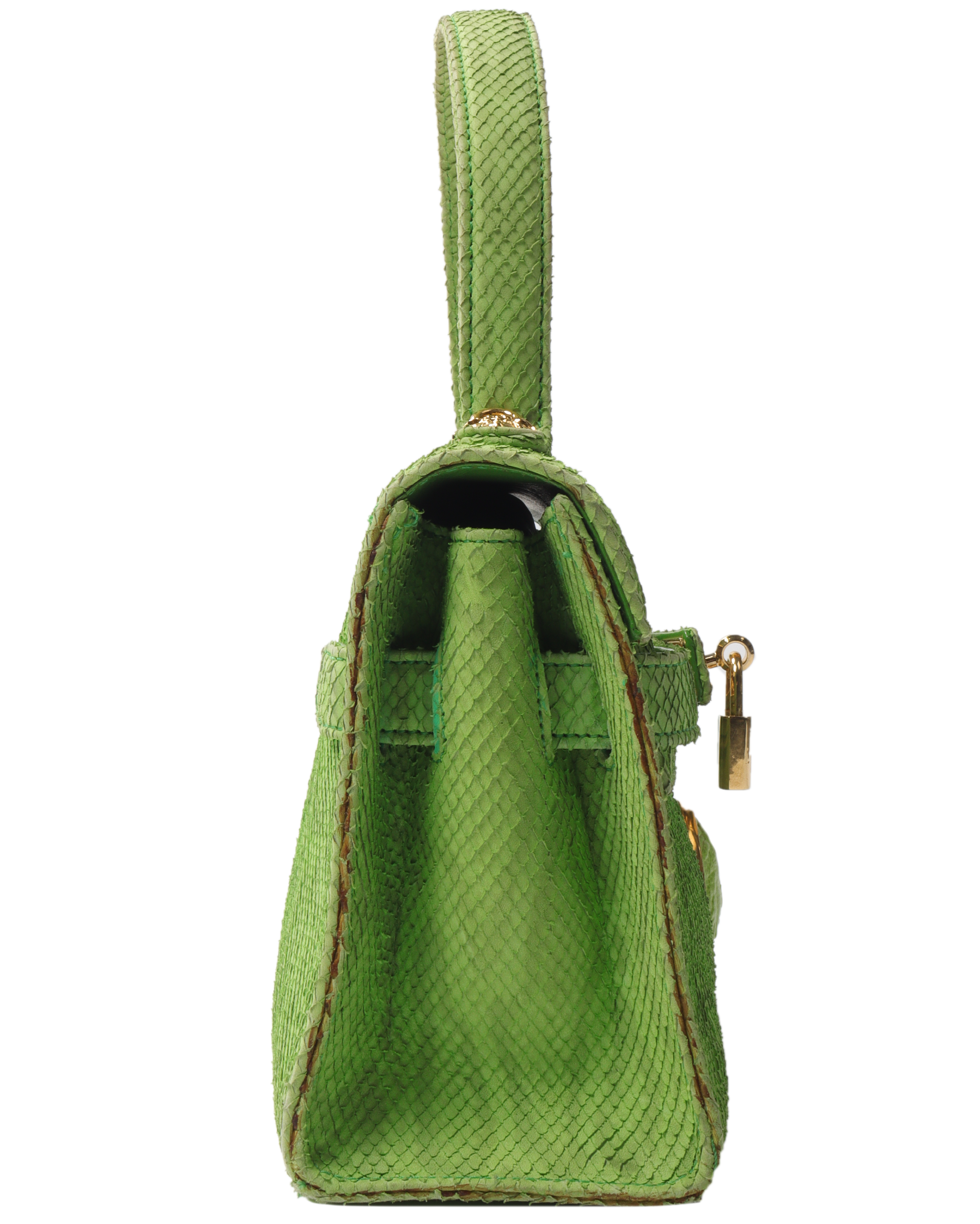 Green Snake Bag