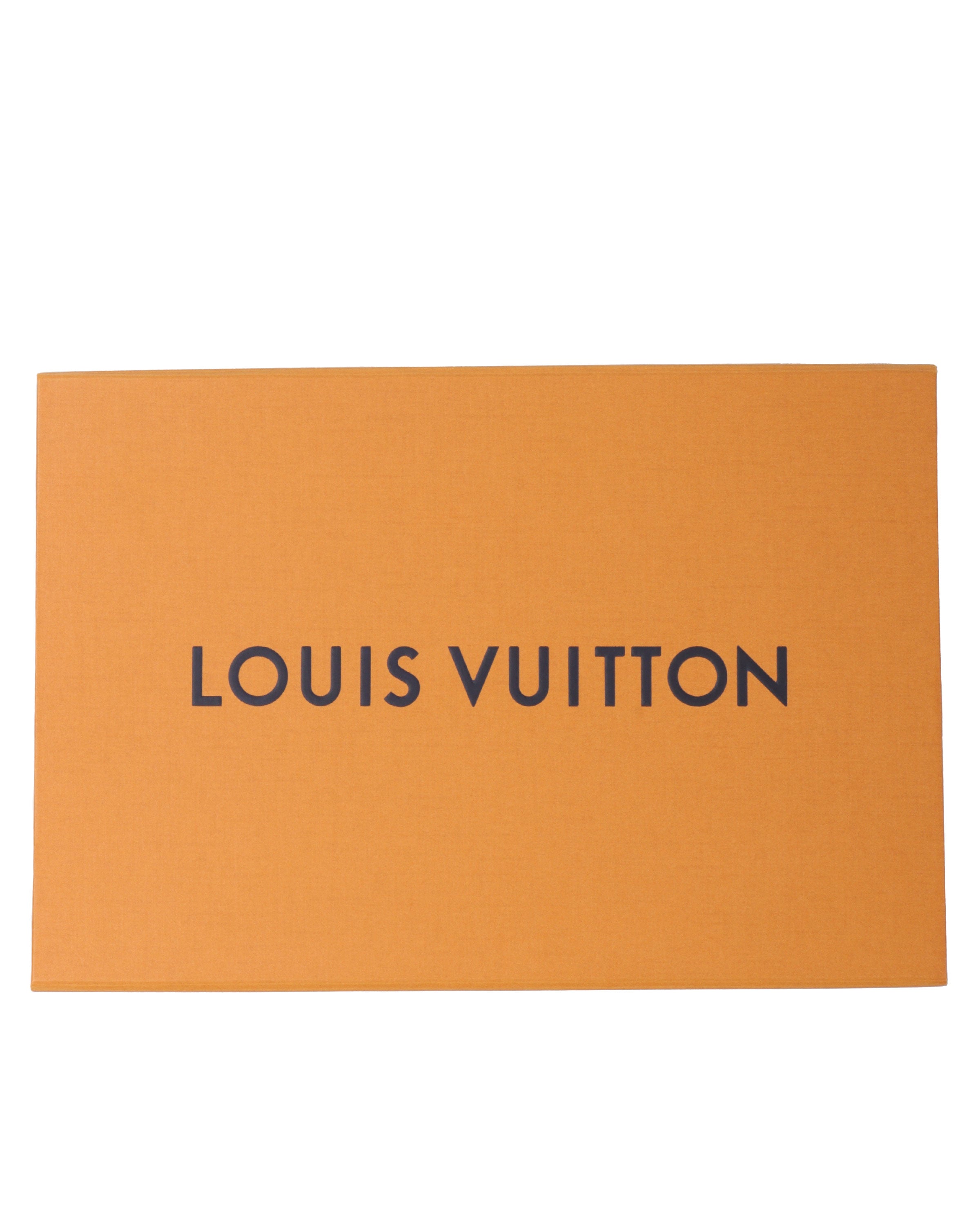 Louis Vuitton Virgil Abloh Monogram Solar Ray Chain Logo Bandana 55 cm  Scarf YA2