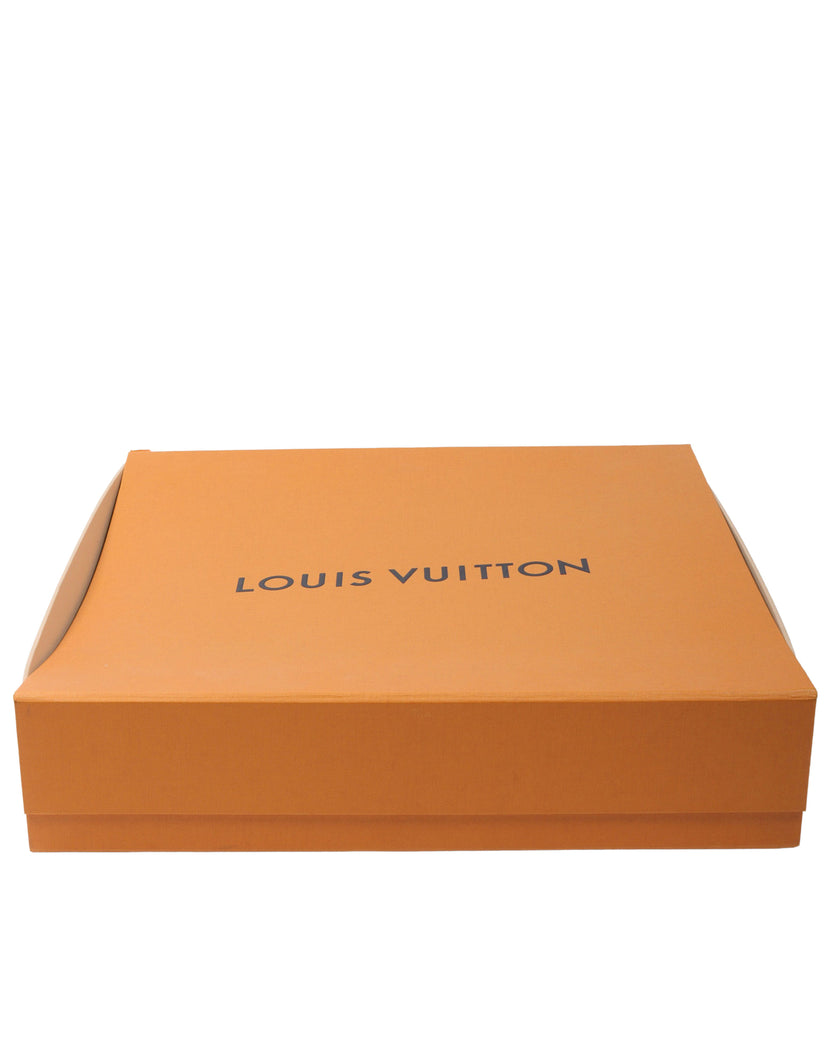 Louis Vuitton Taiga Rainbow Pochette Travel Clutch Pouch