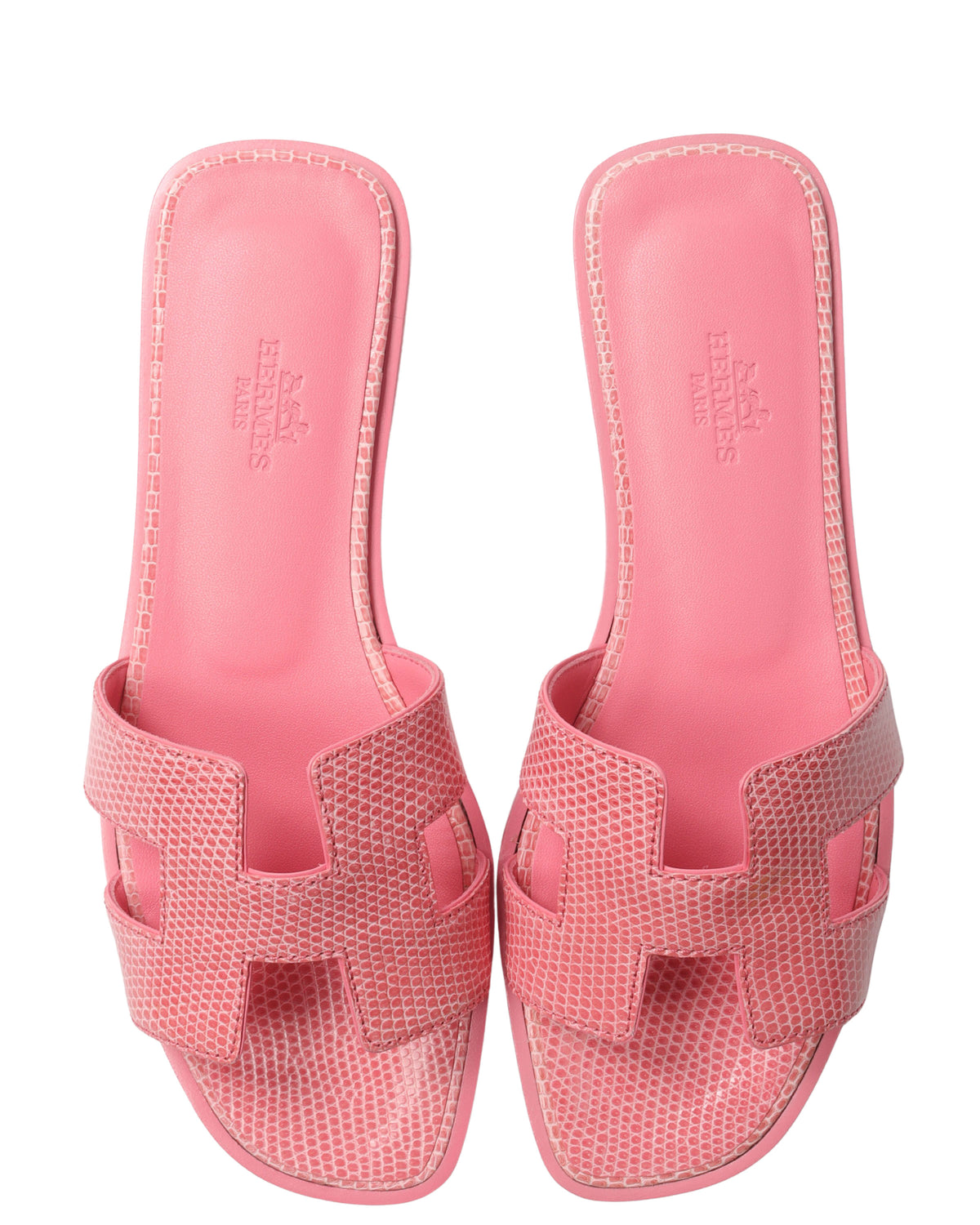 Pink Lizard Slides