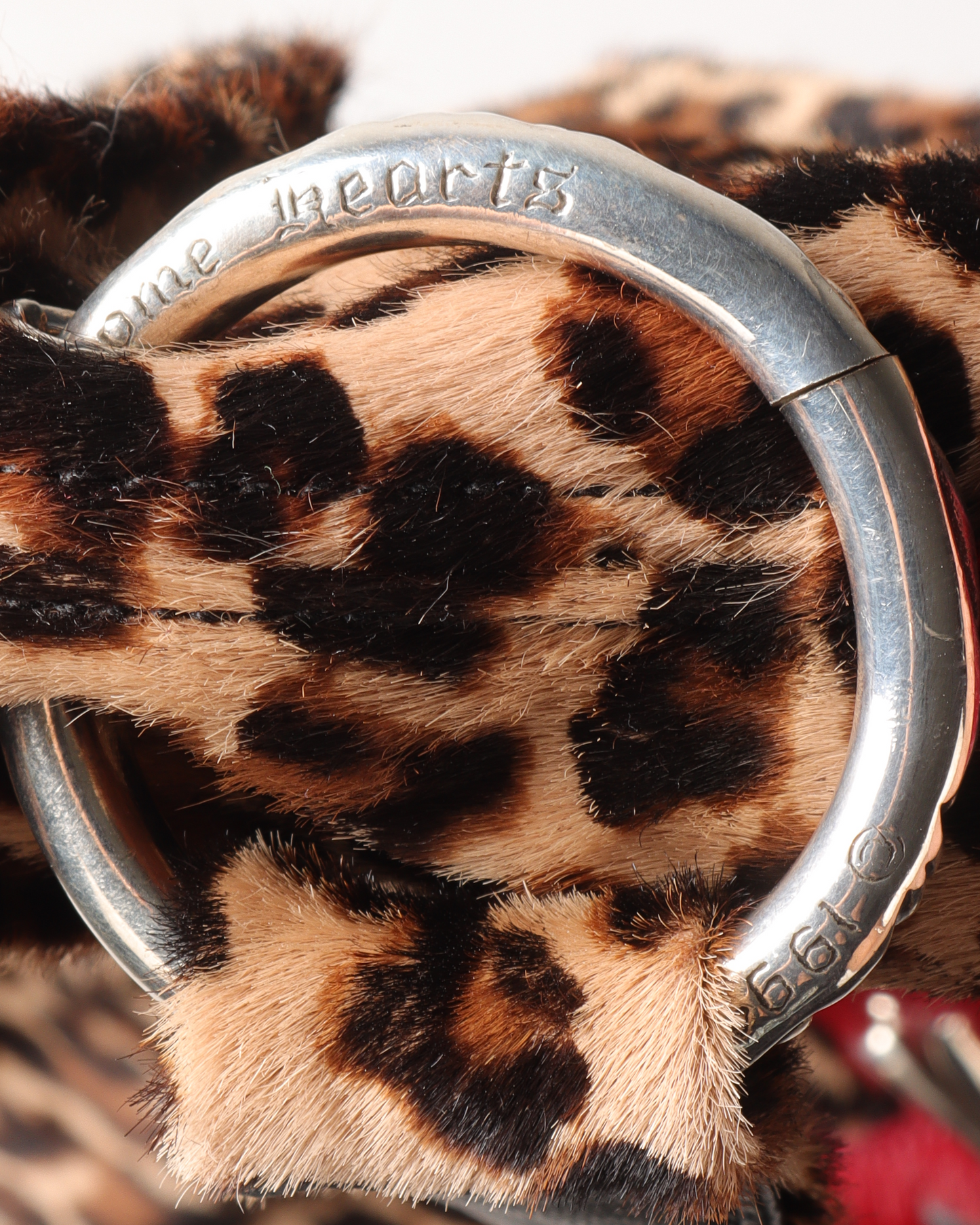 Leopard Print Cross Patch Bag