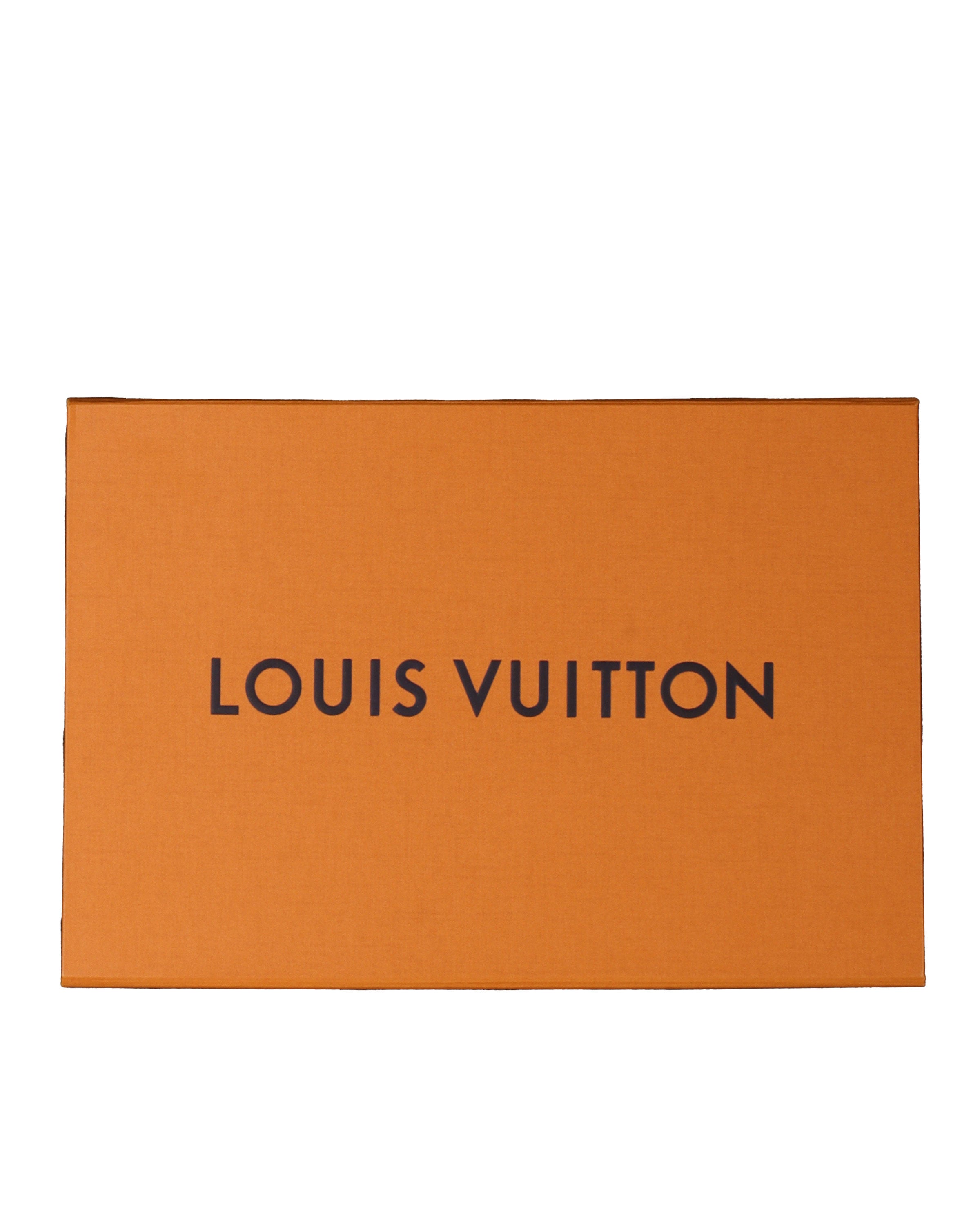 Louis Vuitton LV 3D Bandana, Apparel
