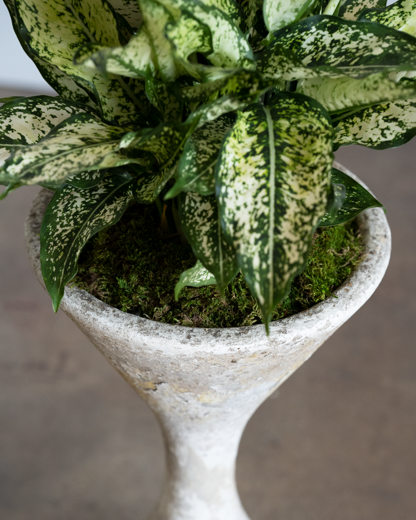 Hourglass Planter (Small)