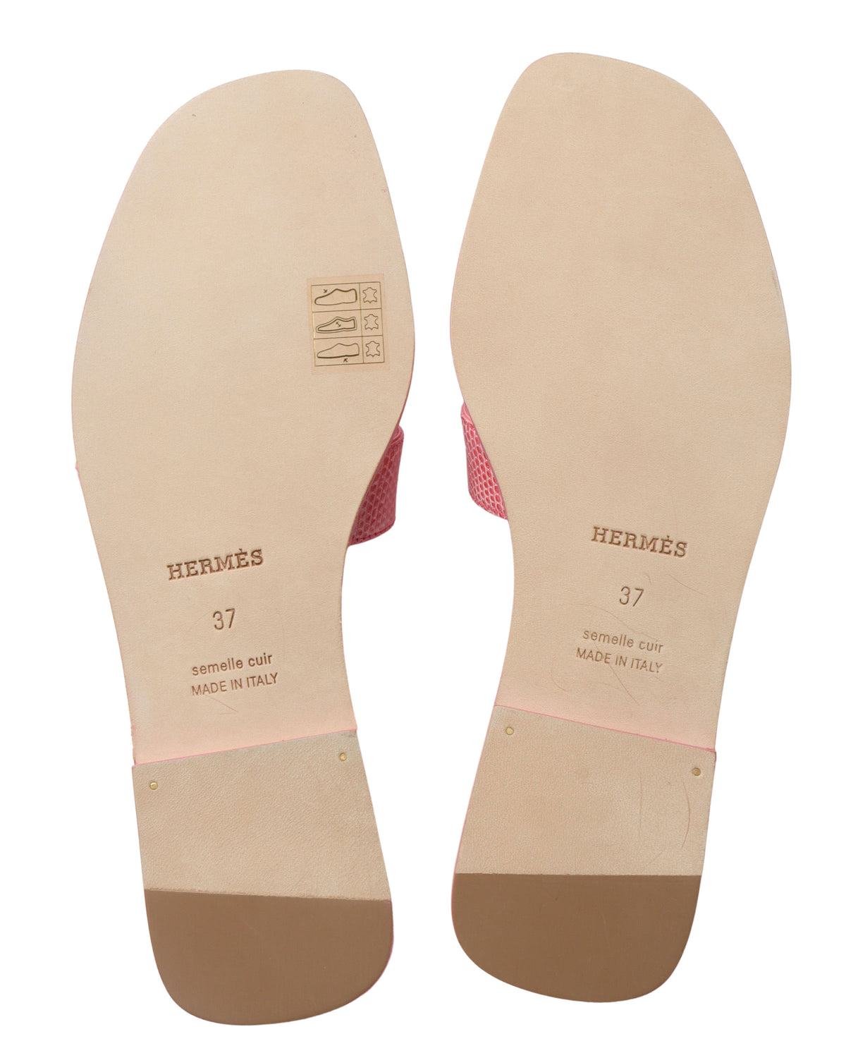 Pink Lizard Slides