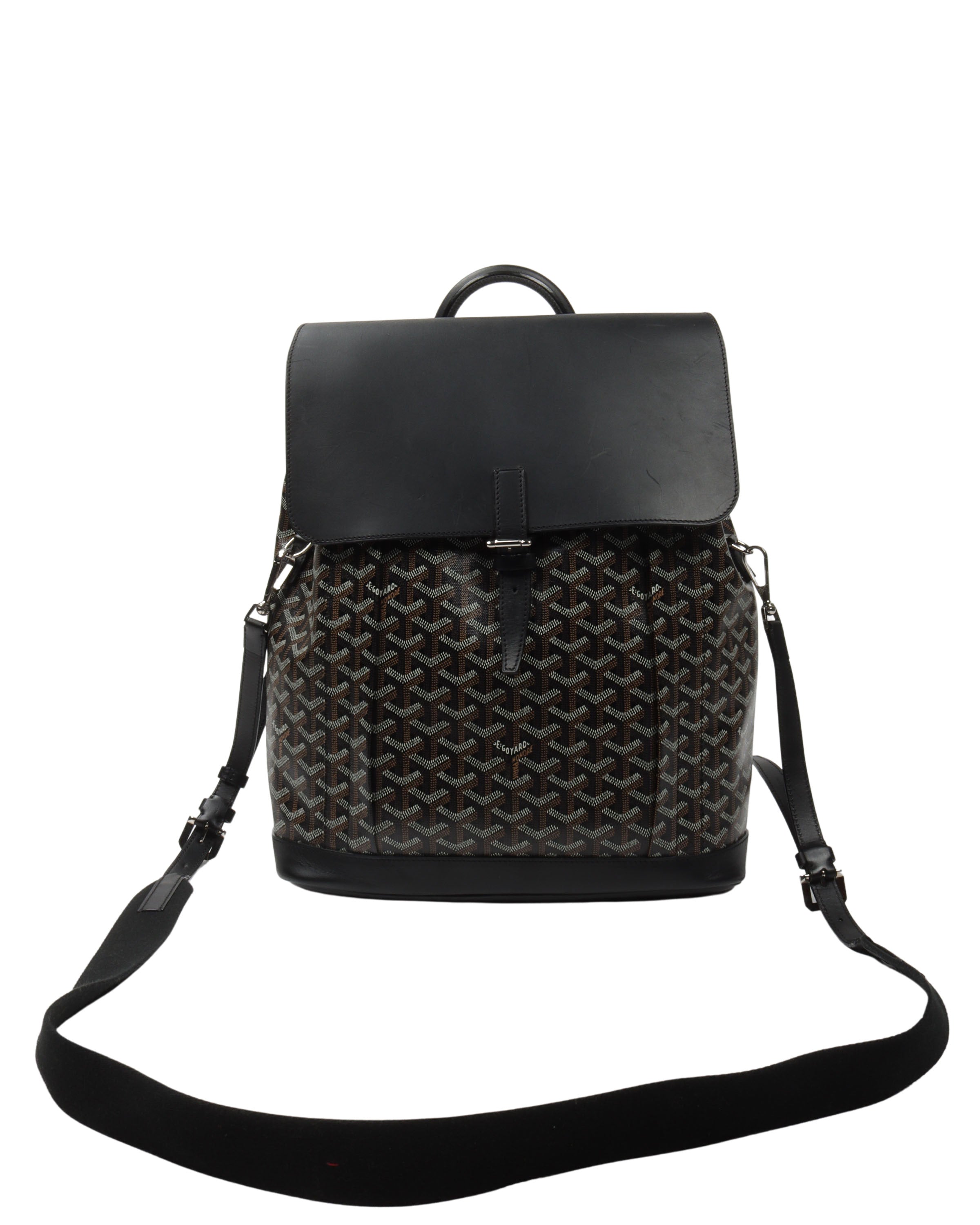 Shop GOYARD Alpin MM Backpack (ALPIN2MMLTY01CL01P