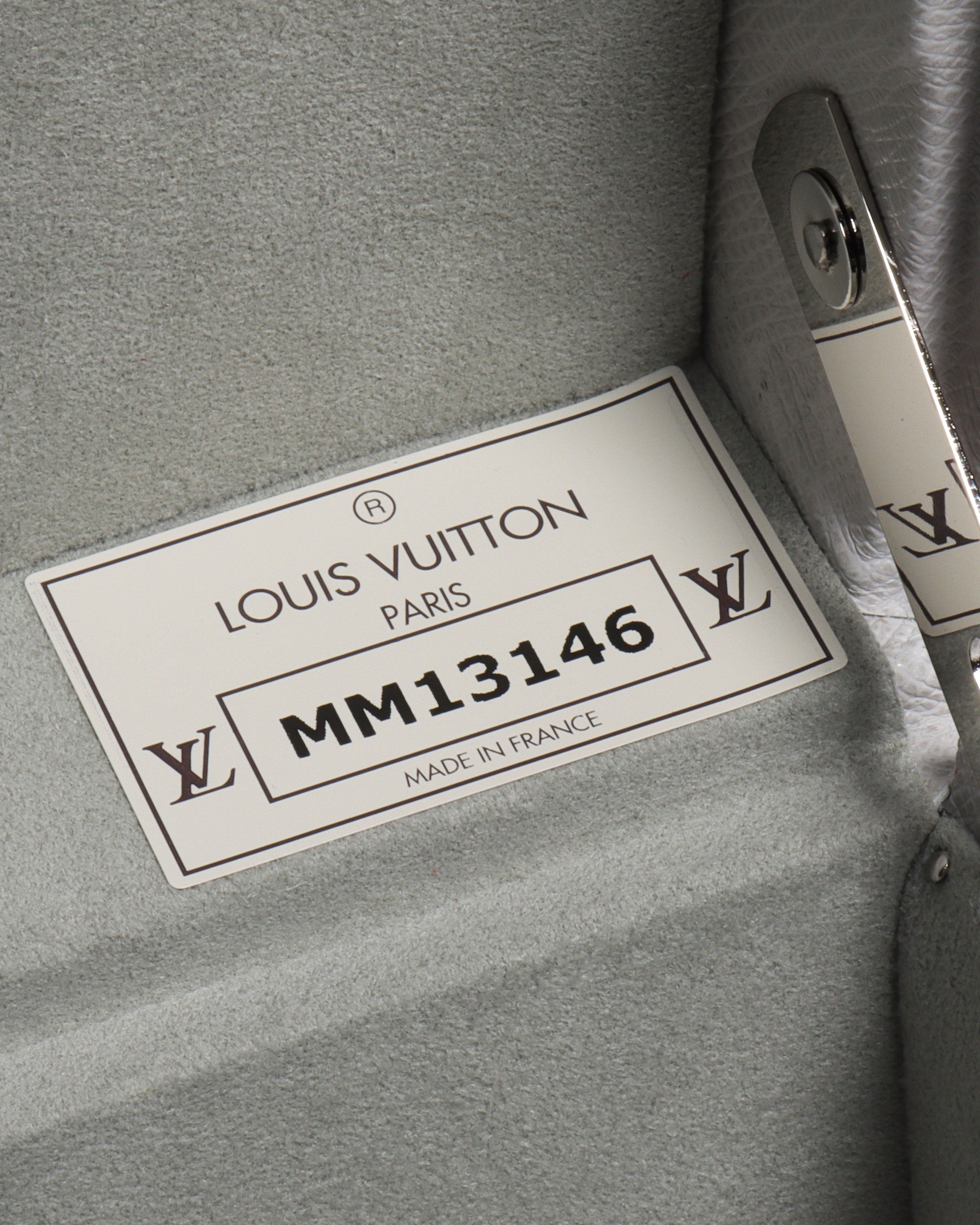Louis Vuitton Bisten 60 Monogram Titane Trunk (2019)