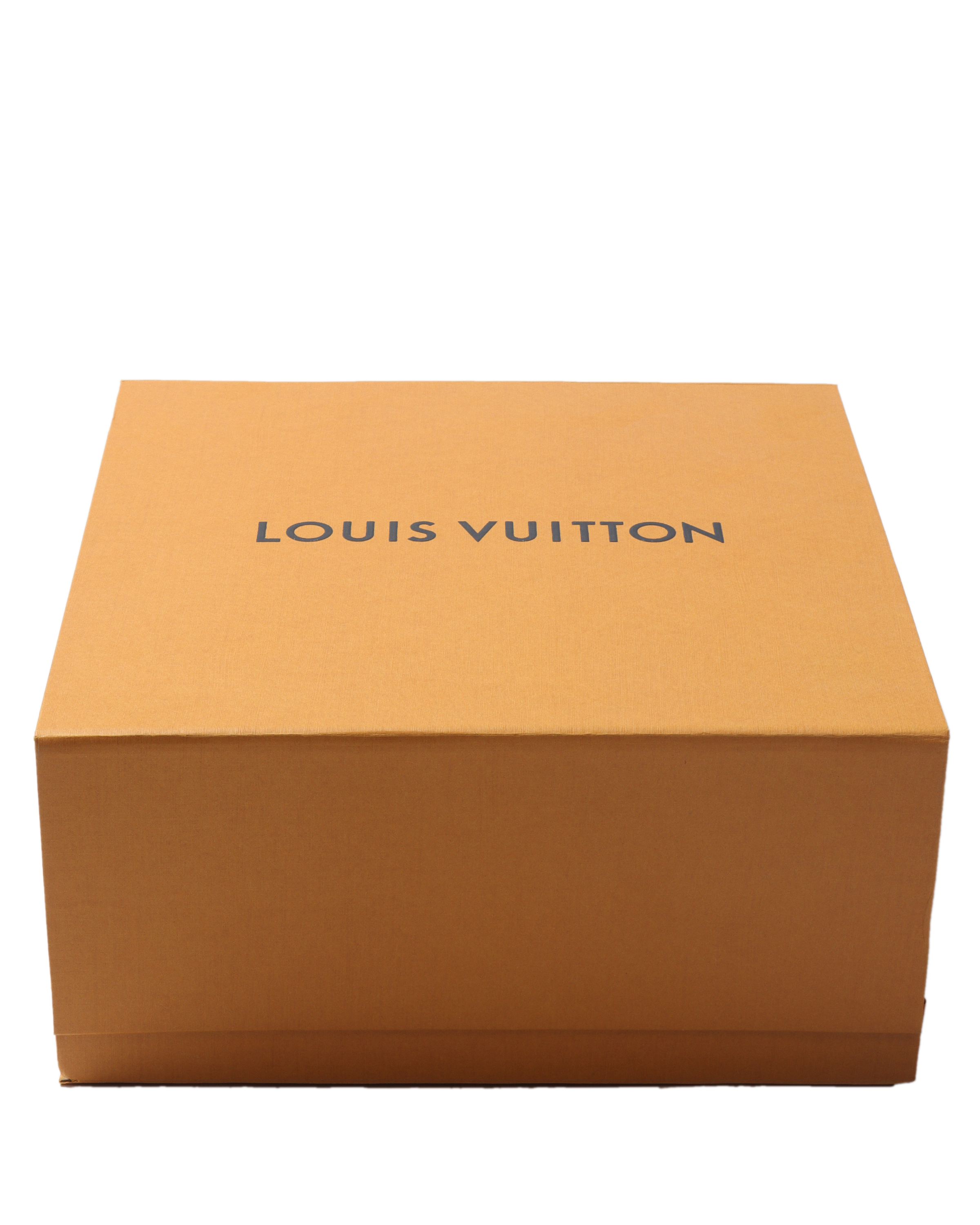 LOUIS VUITTON 2020 Vivienne Music Box 840566