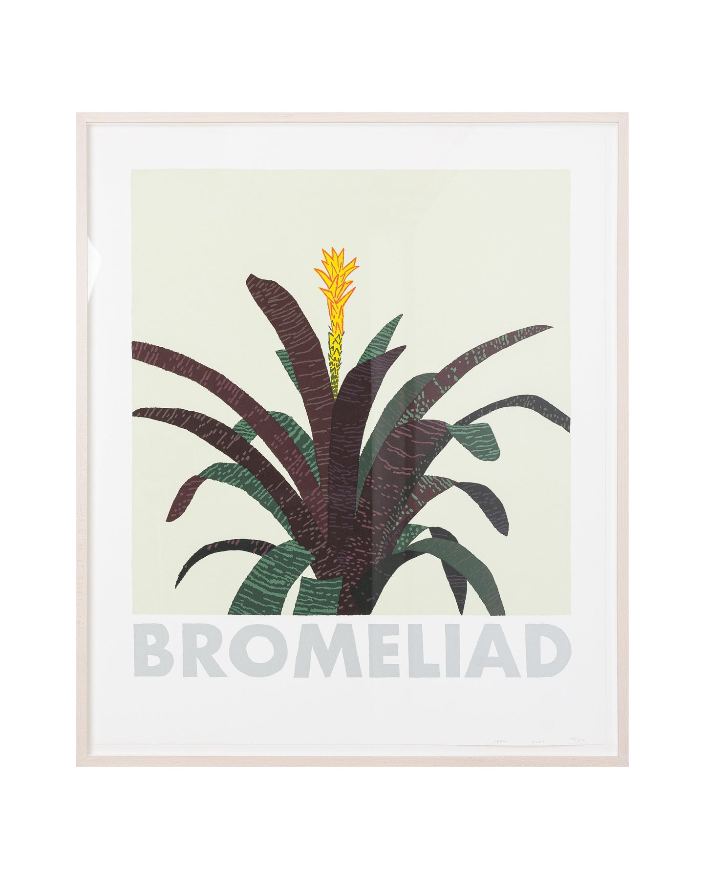 Bromeliad Print (2020)