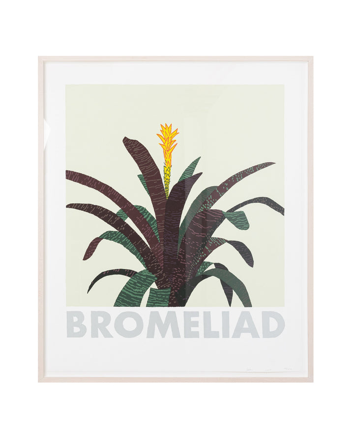 Bromeliad Print (2020)