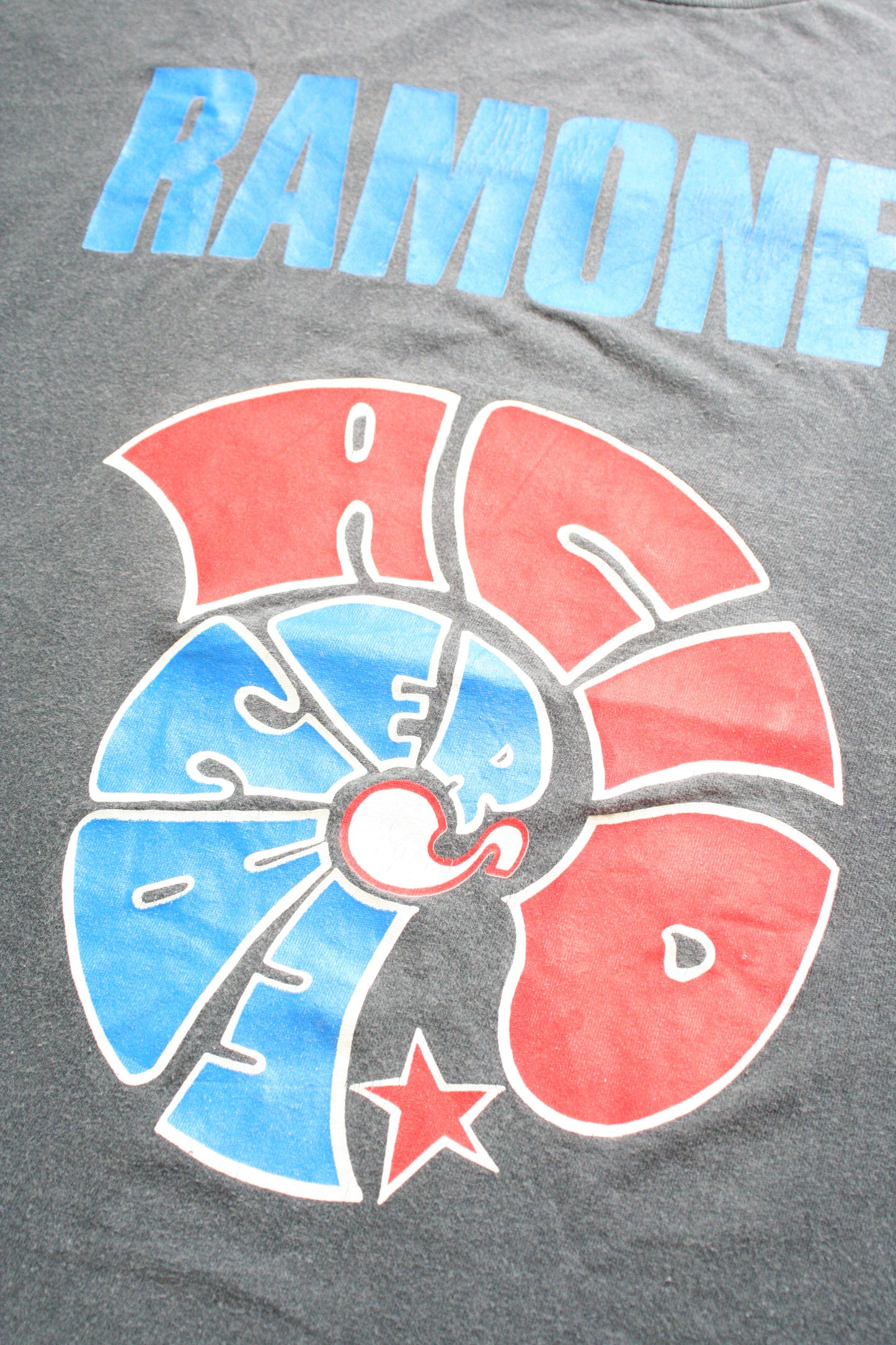 Vintage Ramone's 1994 Acid Eaters JAPAN Tour T-Shirt - XL