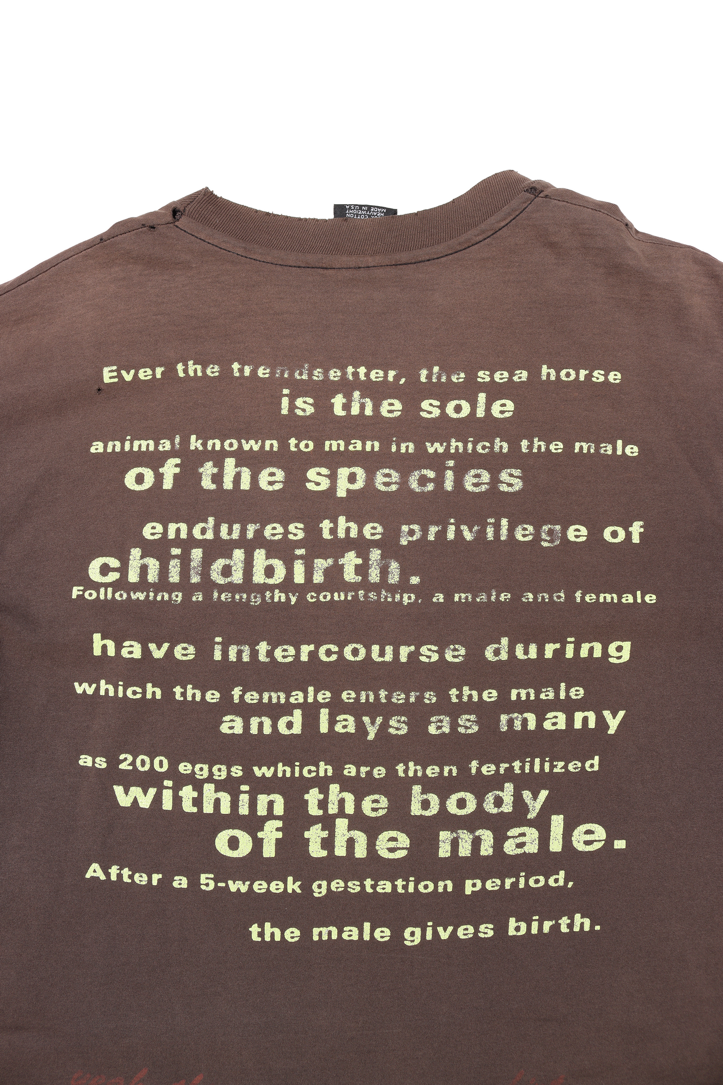 1993 Nirvana Seahorse T-Shirt